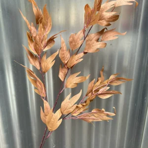 Điểm Lá Thiên Trúc