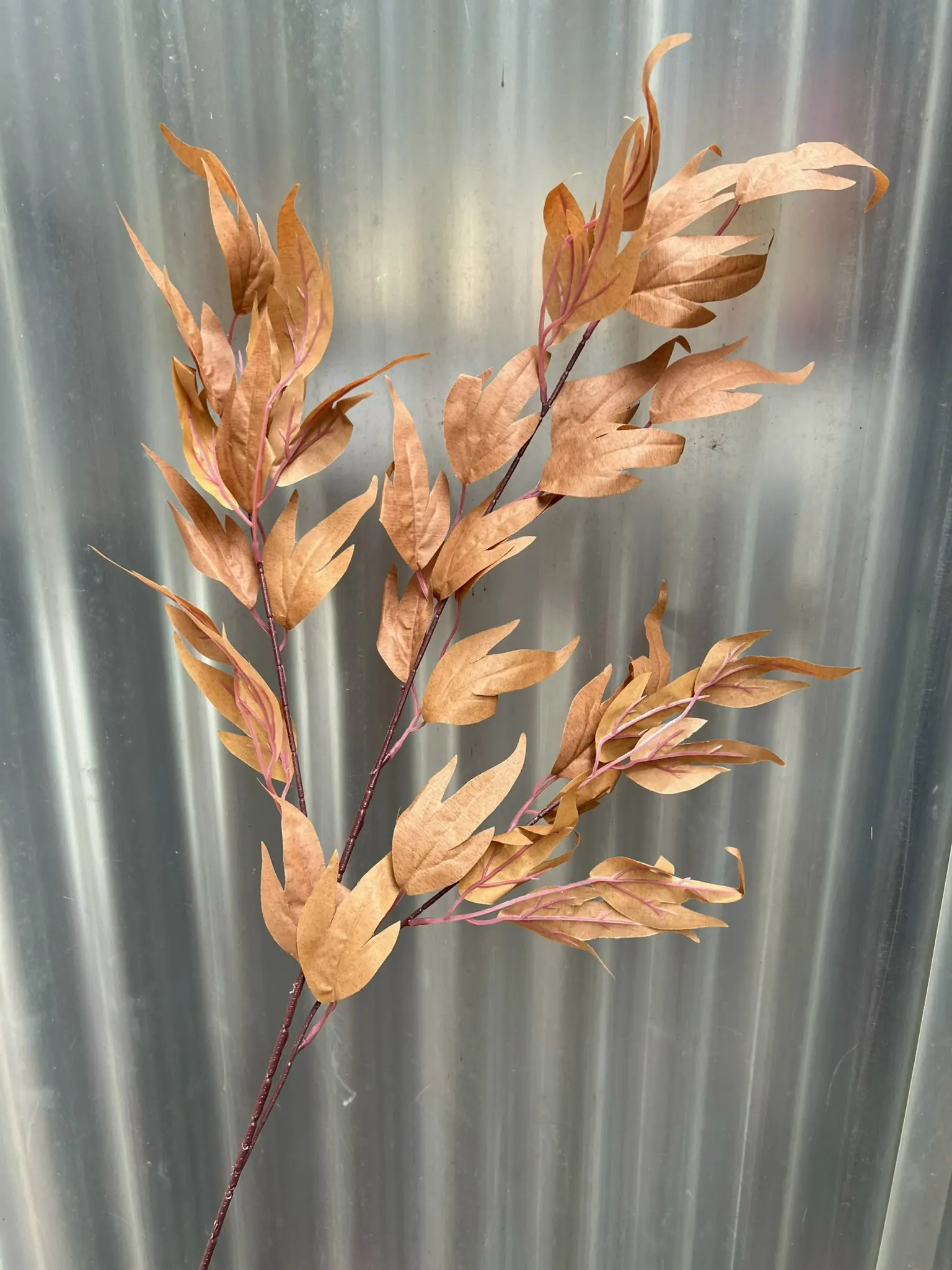 Điểm Lá Thiên Trúc