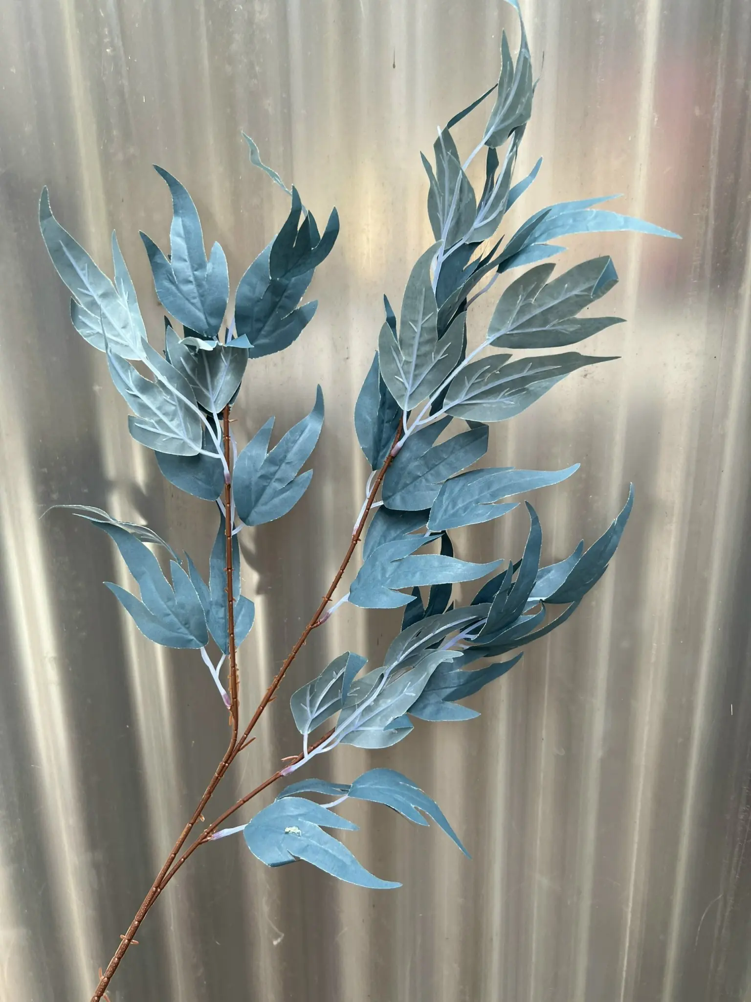 Điểm Lá Thiên Trúc - Ảnh 2