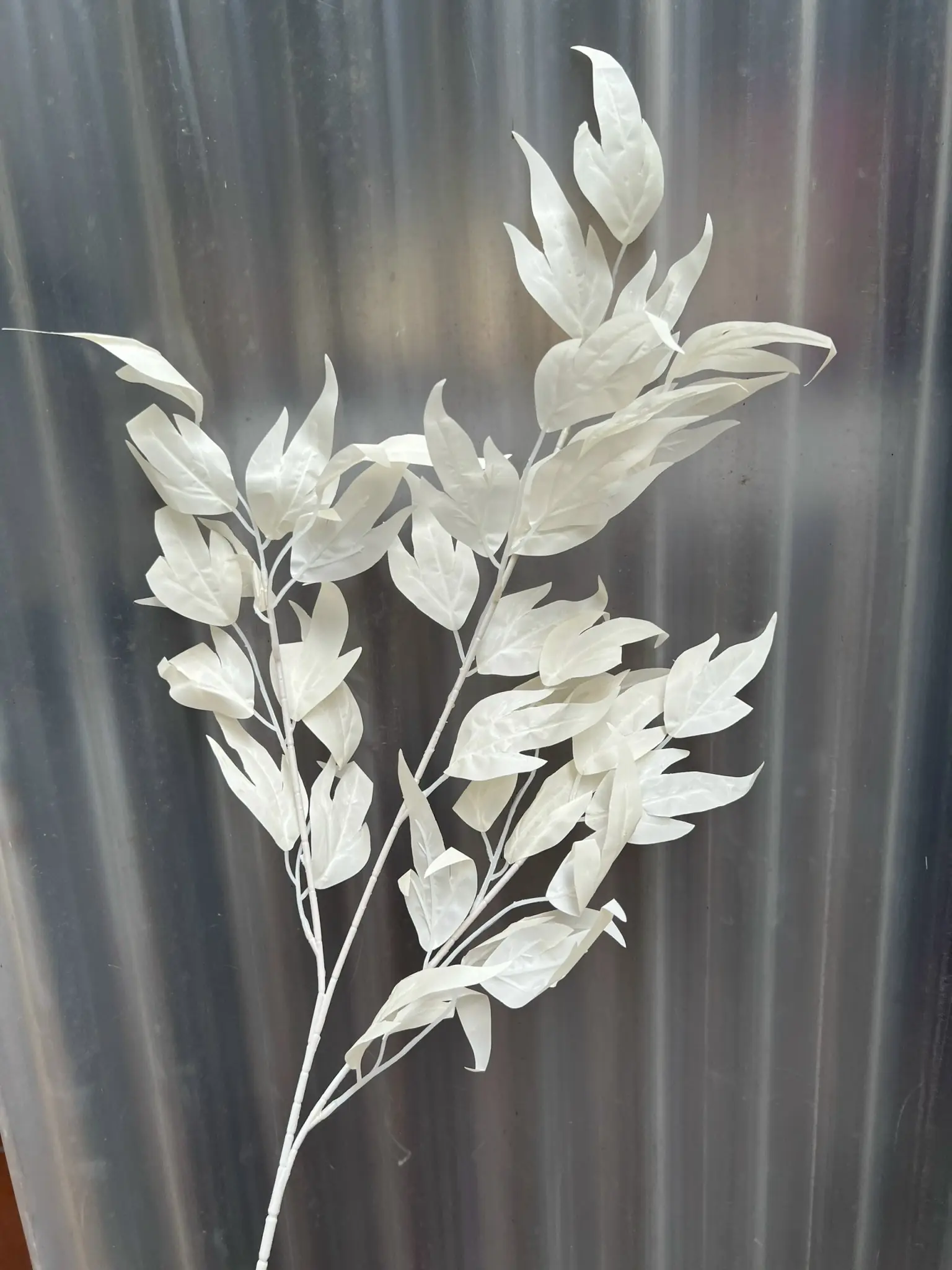 Điểm Lá Thiên Trúc - Ảnh 4