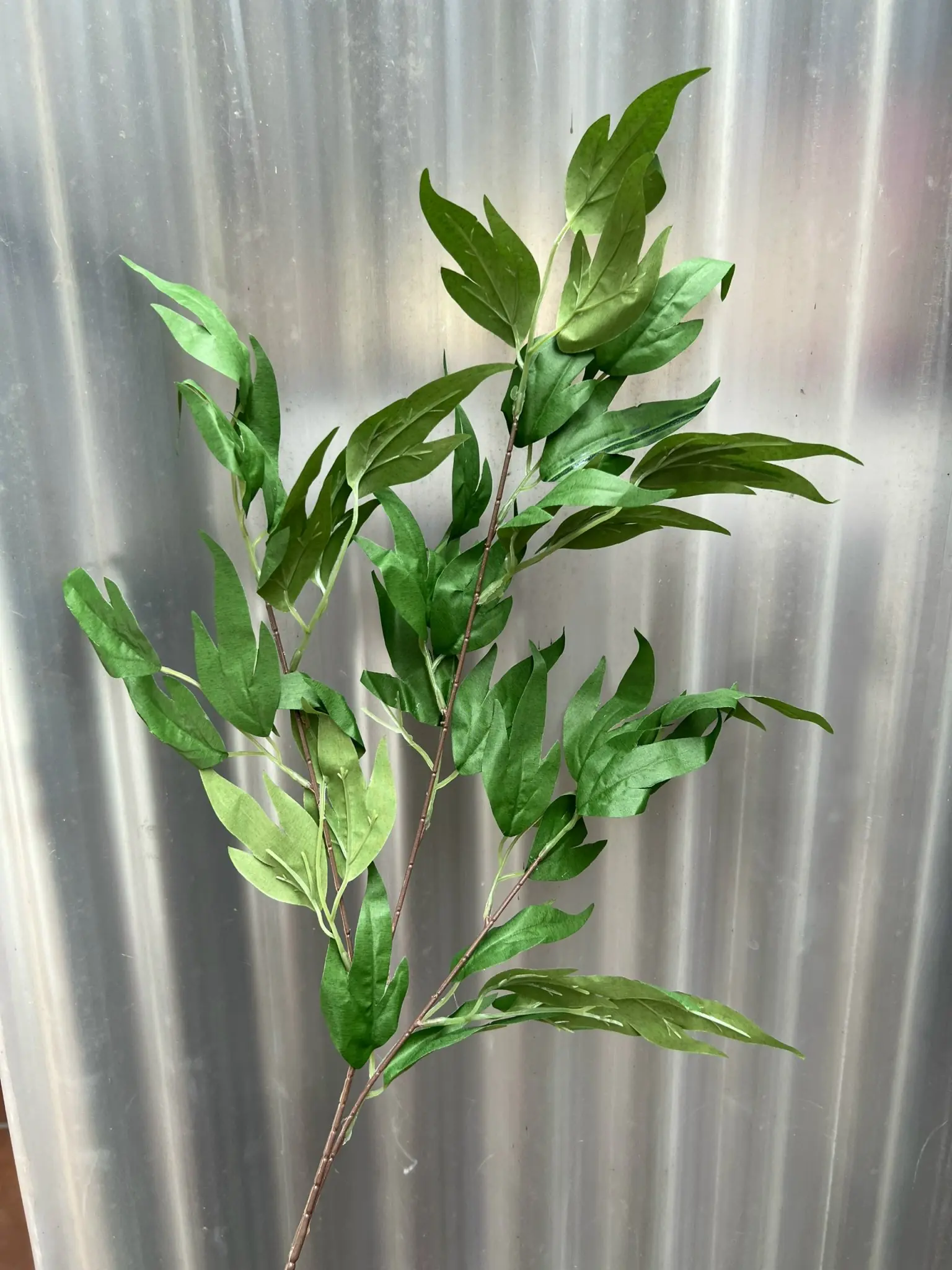 Điểm Lá Thiên Trúc - Ảnh 5