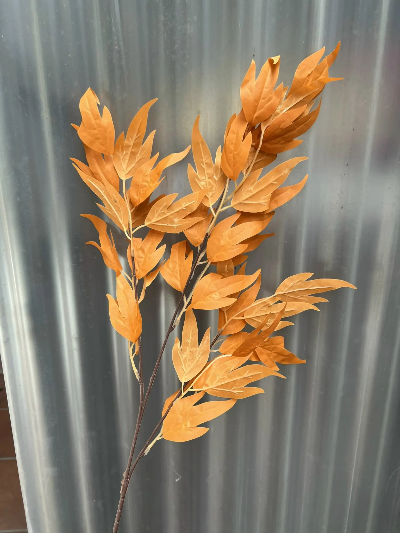 Điểm Lá Thiên Trúc - Ảnh 6