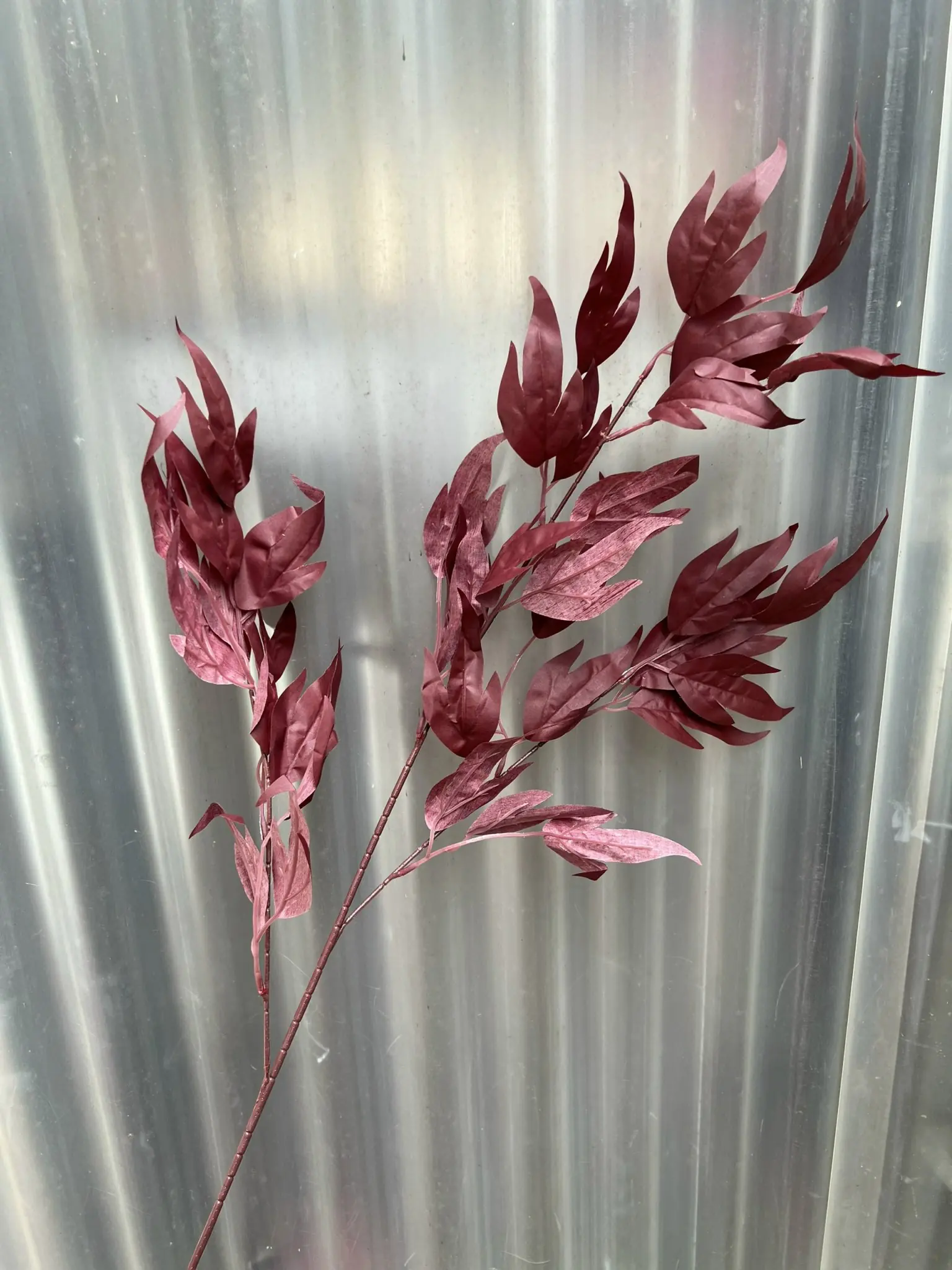 Điểm Lá Thiên Trúc - Ảnh 8