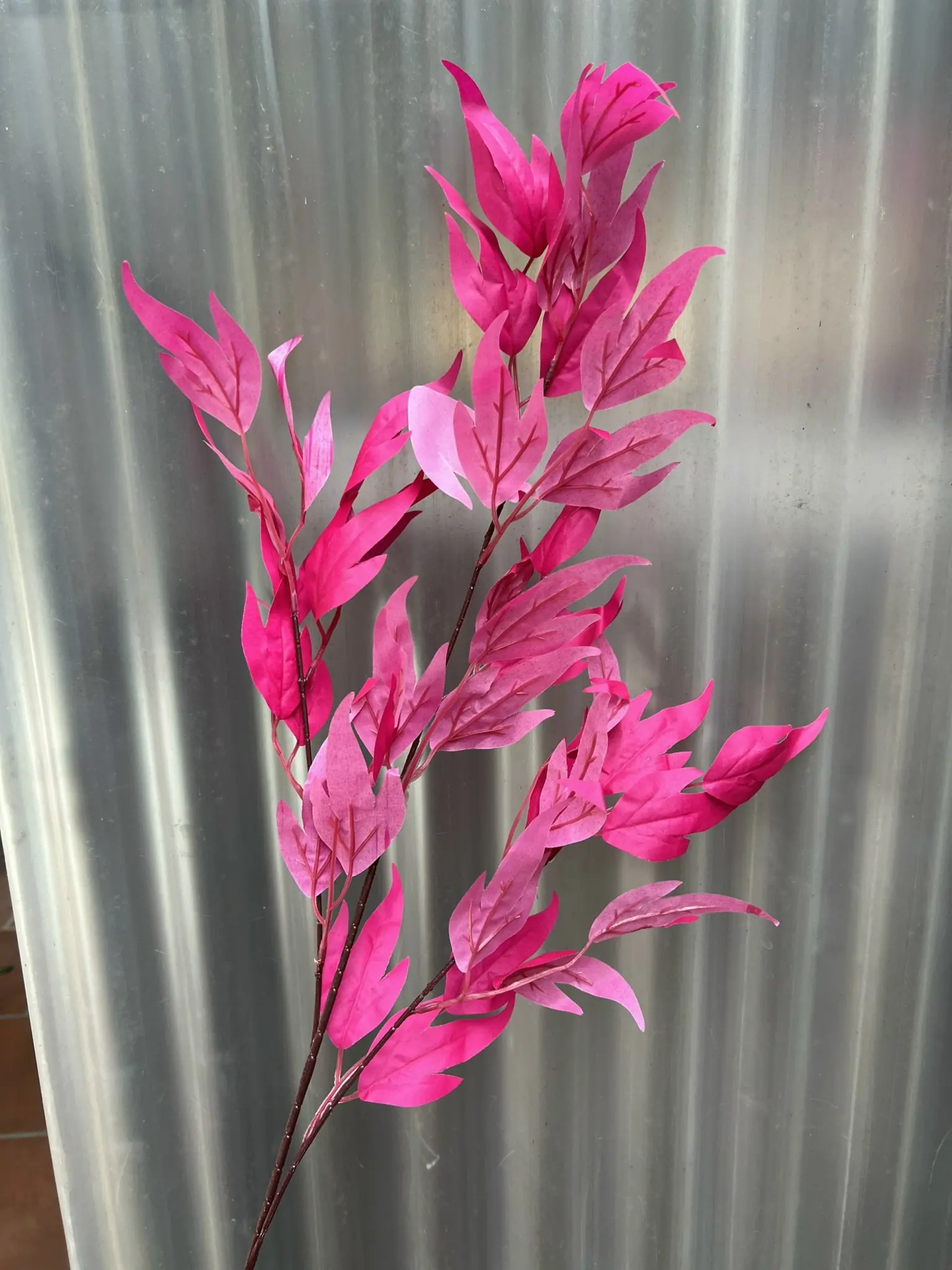 Điểm Lá Thiên Trúc - Ảnh 9