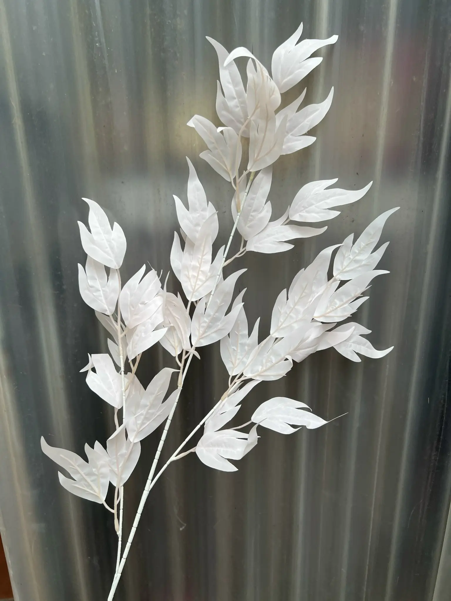 Điểm Lá Thiên Trúc - Ảnh 10