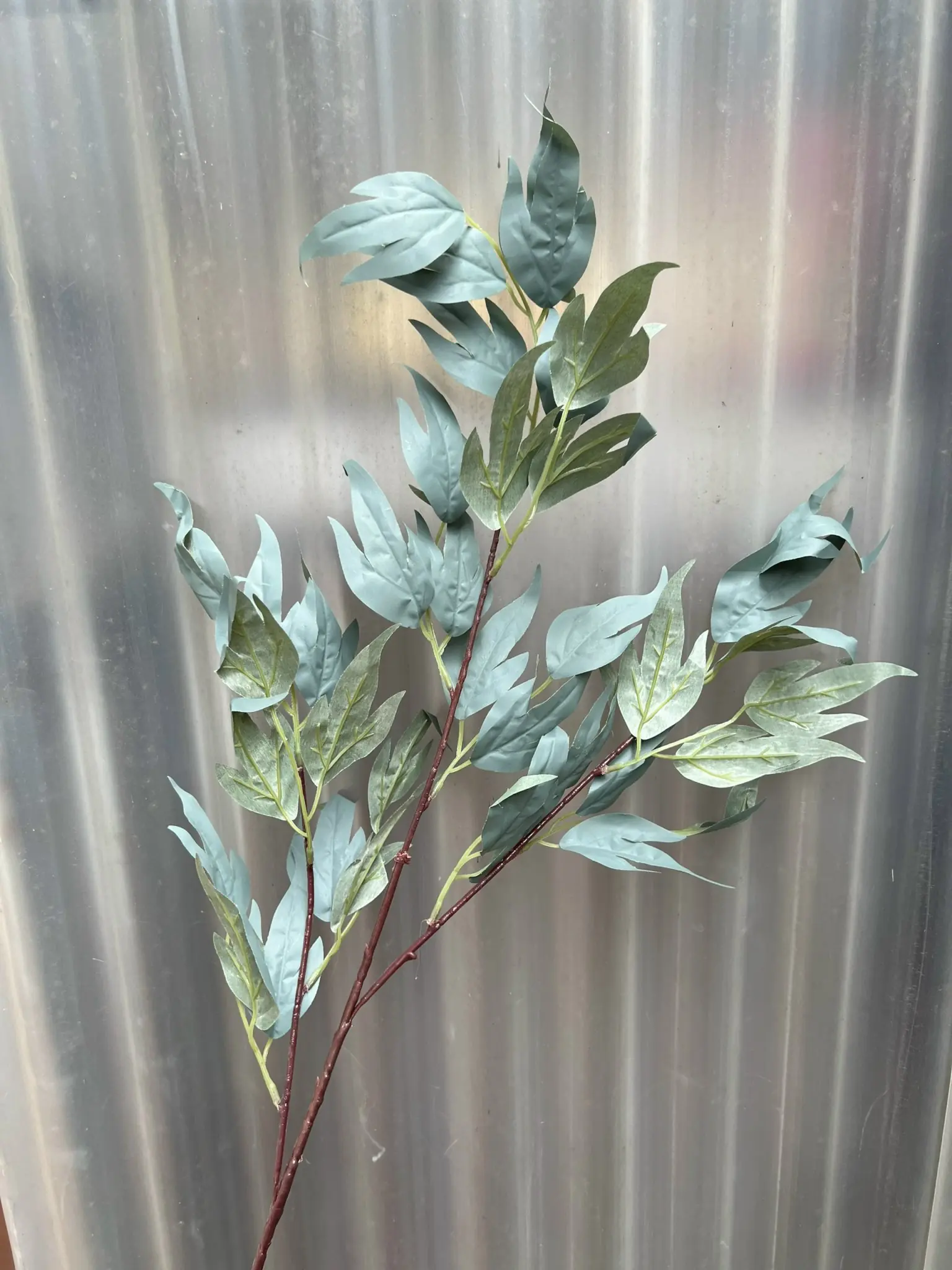 Điểm Lá Thiên Trúc - Ảnh 11