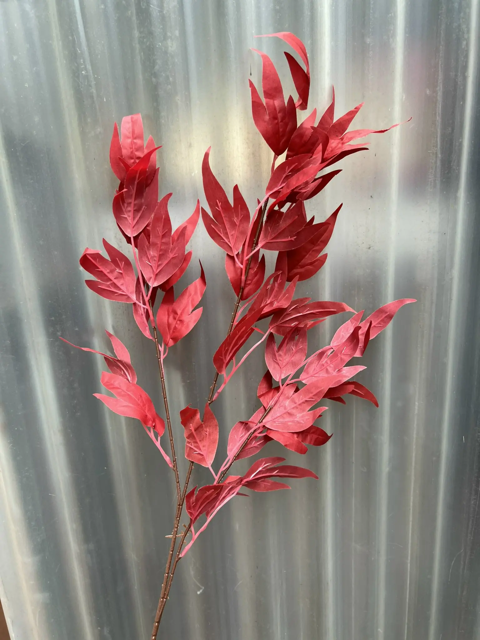 Điểm Lá Thiên Trúc - Ảnh 12