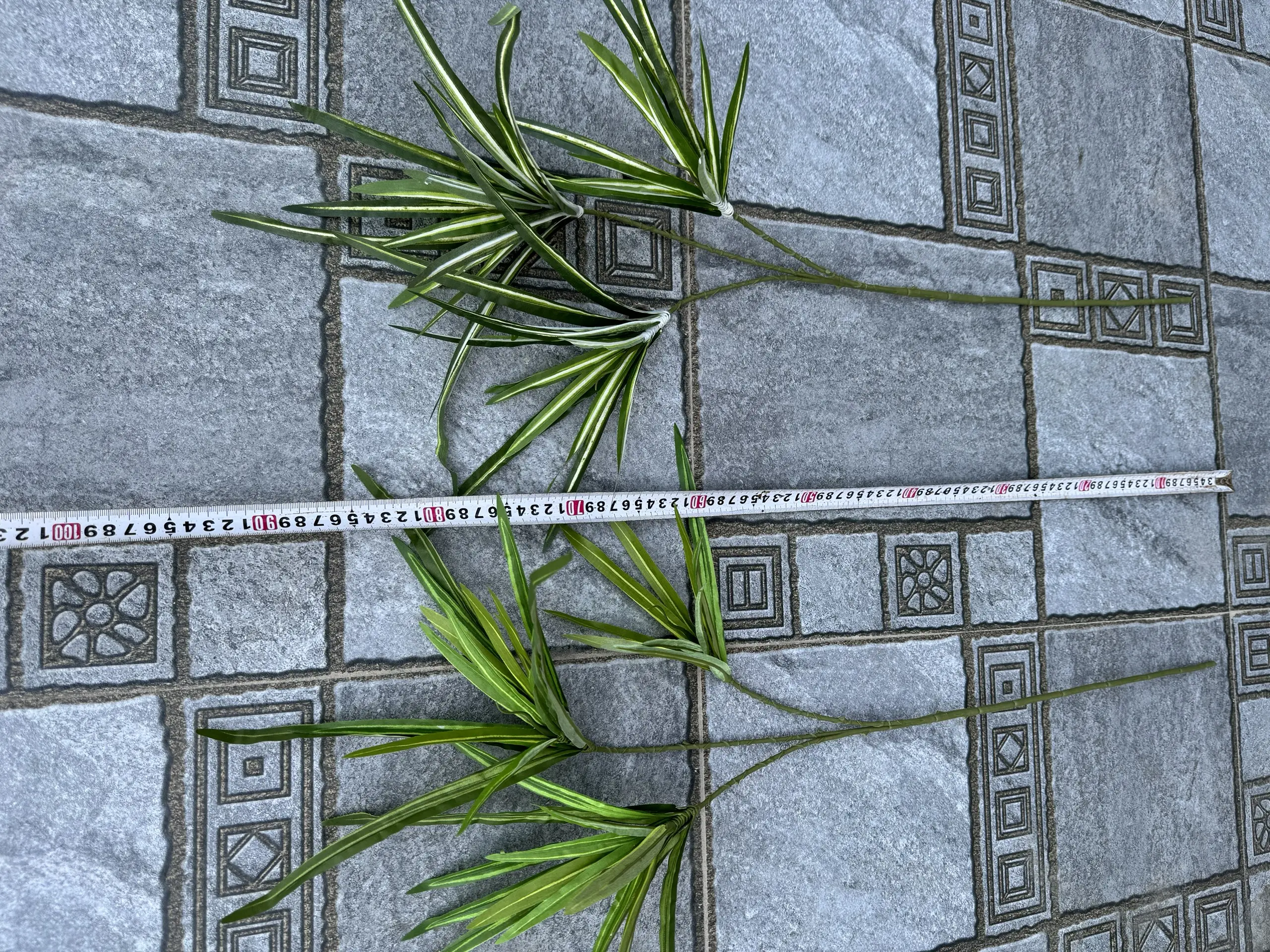 Điểm Lá Tóc Tiên - Ảnh 2