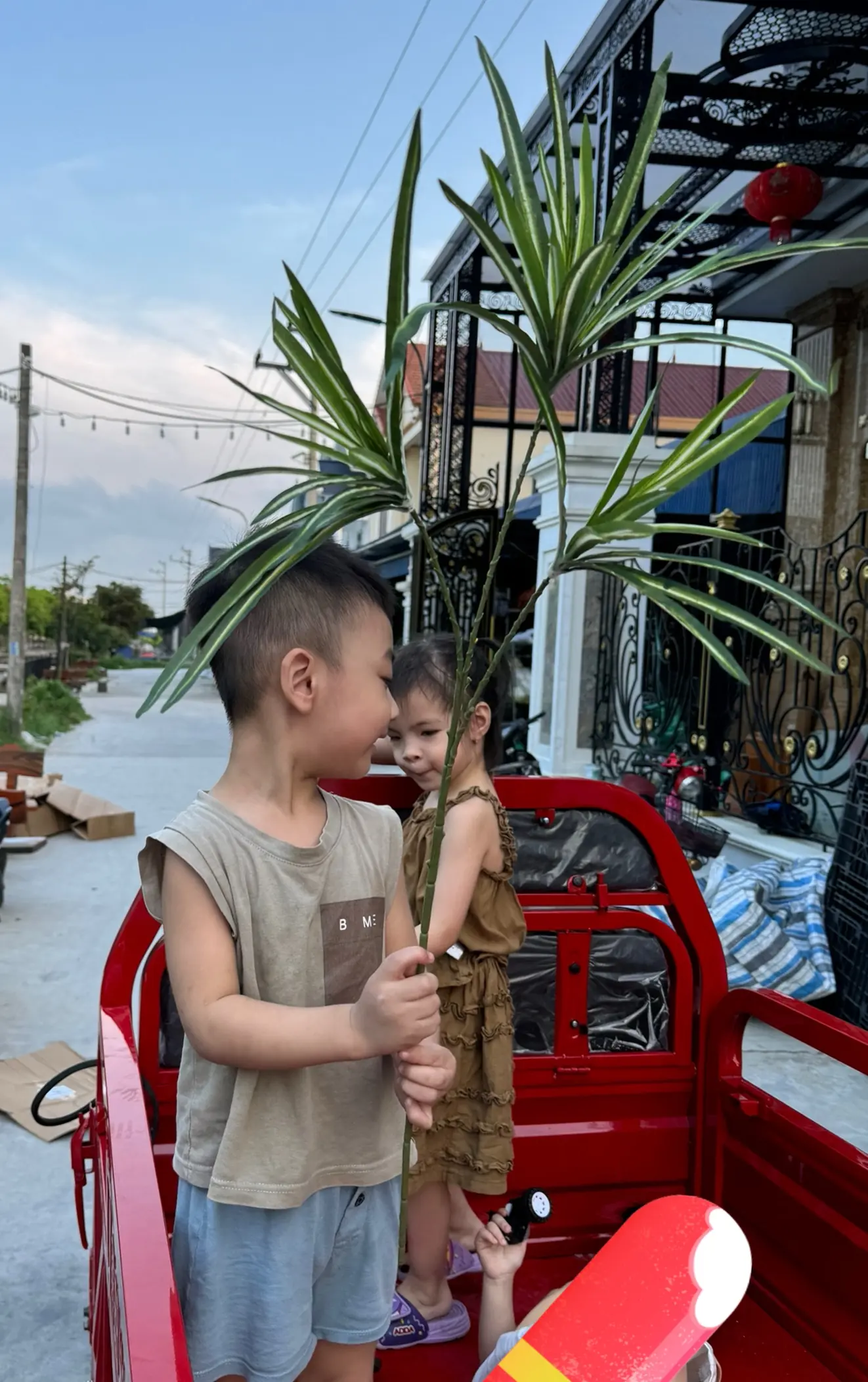 Điểm Lá Tóc Tiên - Ảnh 6