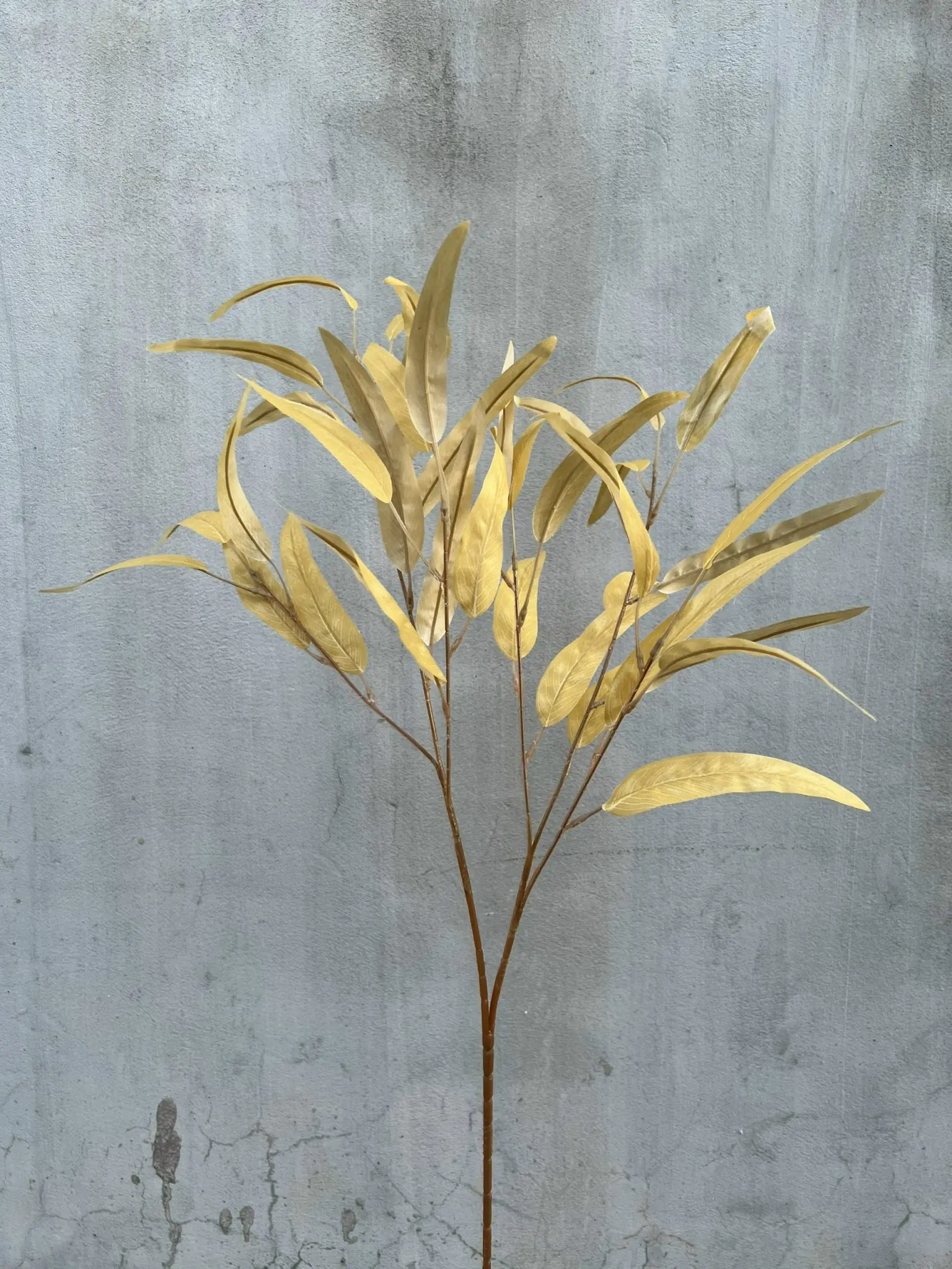 Điểm Lá Tràm - Ảnh 2