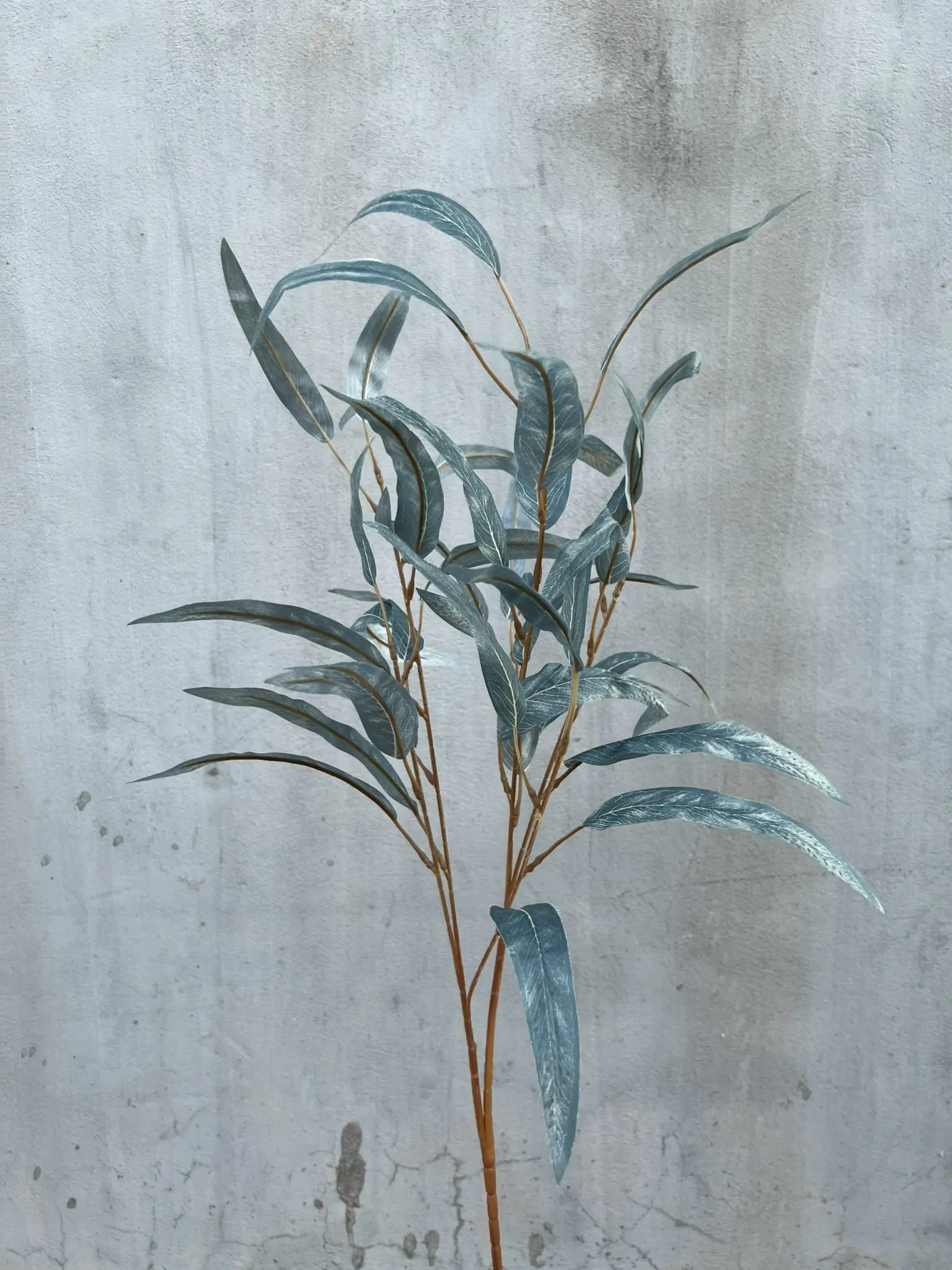 Điểm Lá Tràm - Ảnh 3