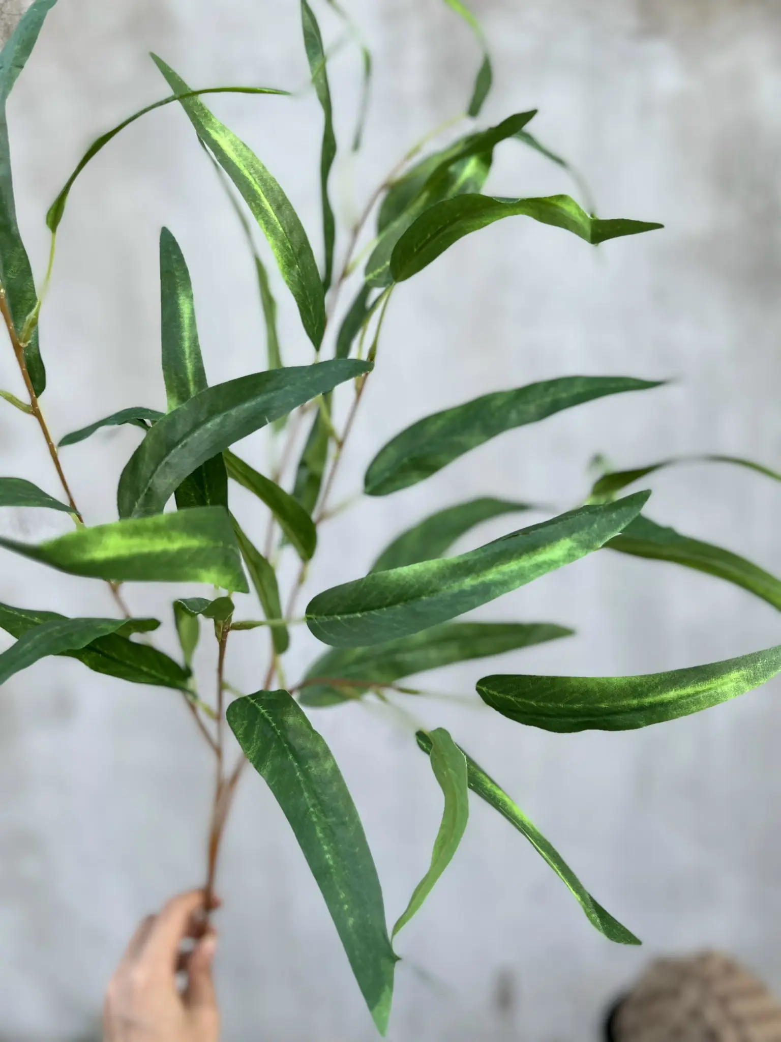 Điểm Lá Tràm - Ảnh 4