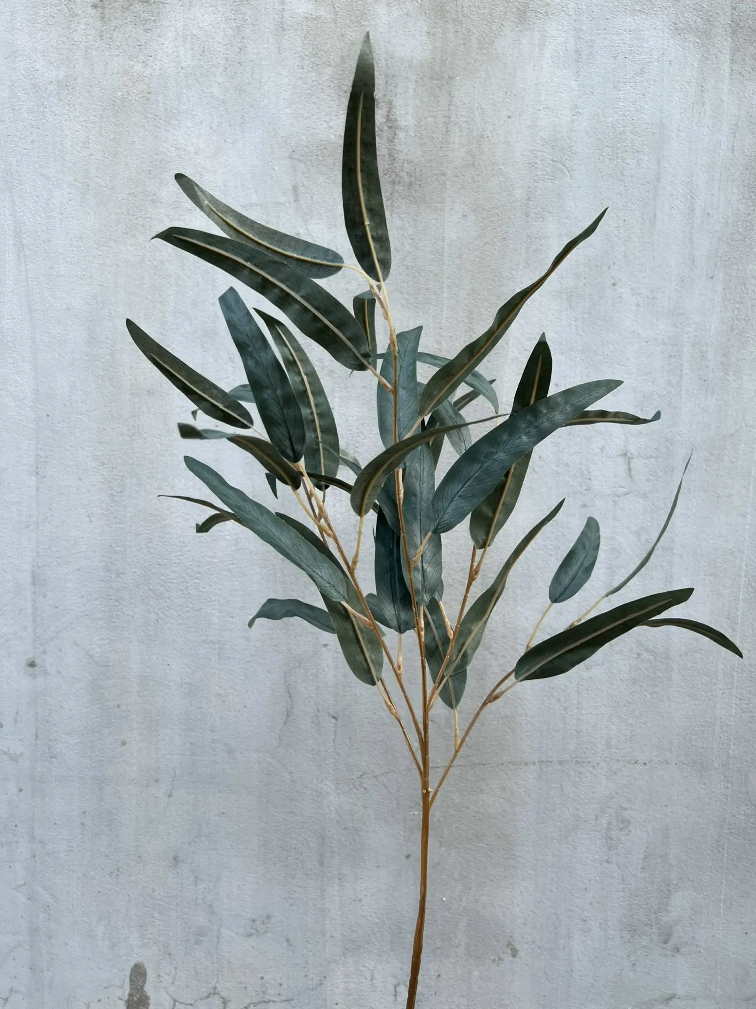 Điểm Lá Tràm - Ảnh 5