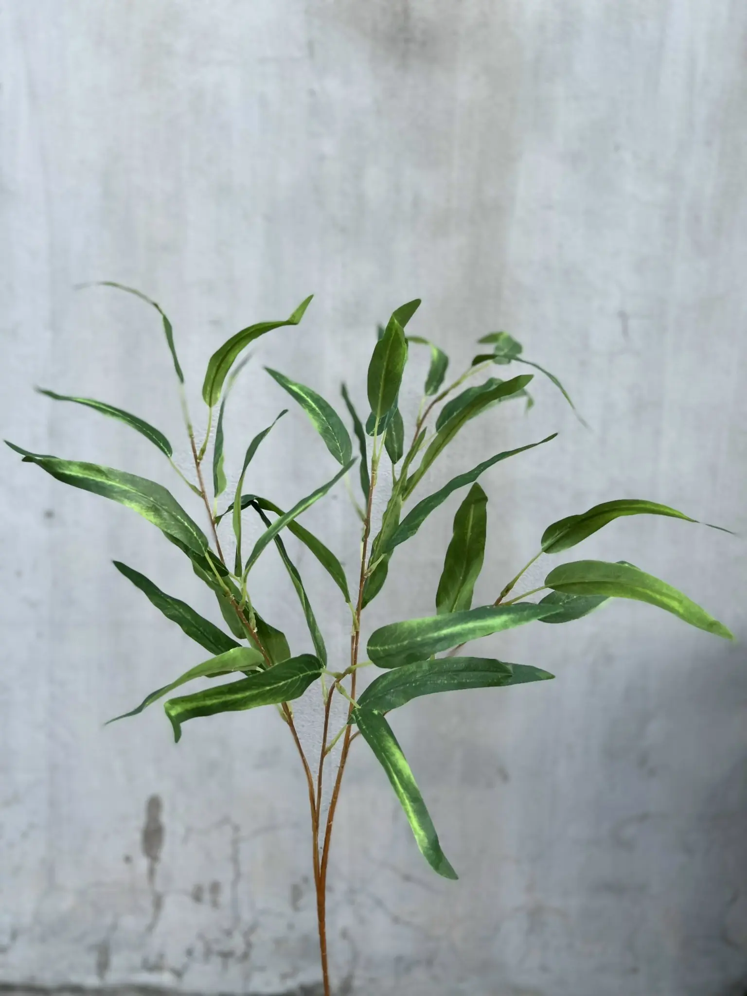 Điểm Lá Tràm - Ảnh 6