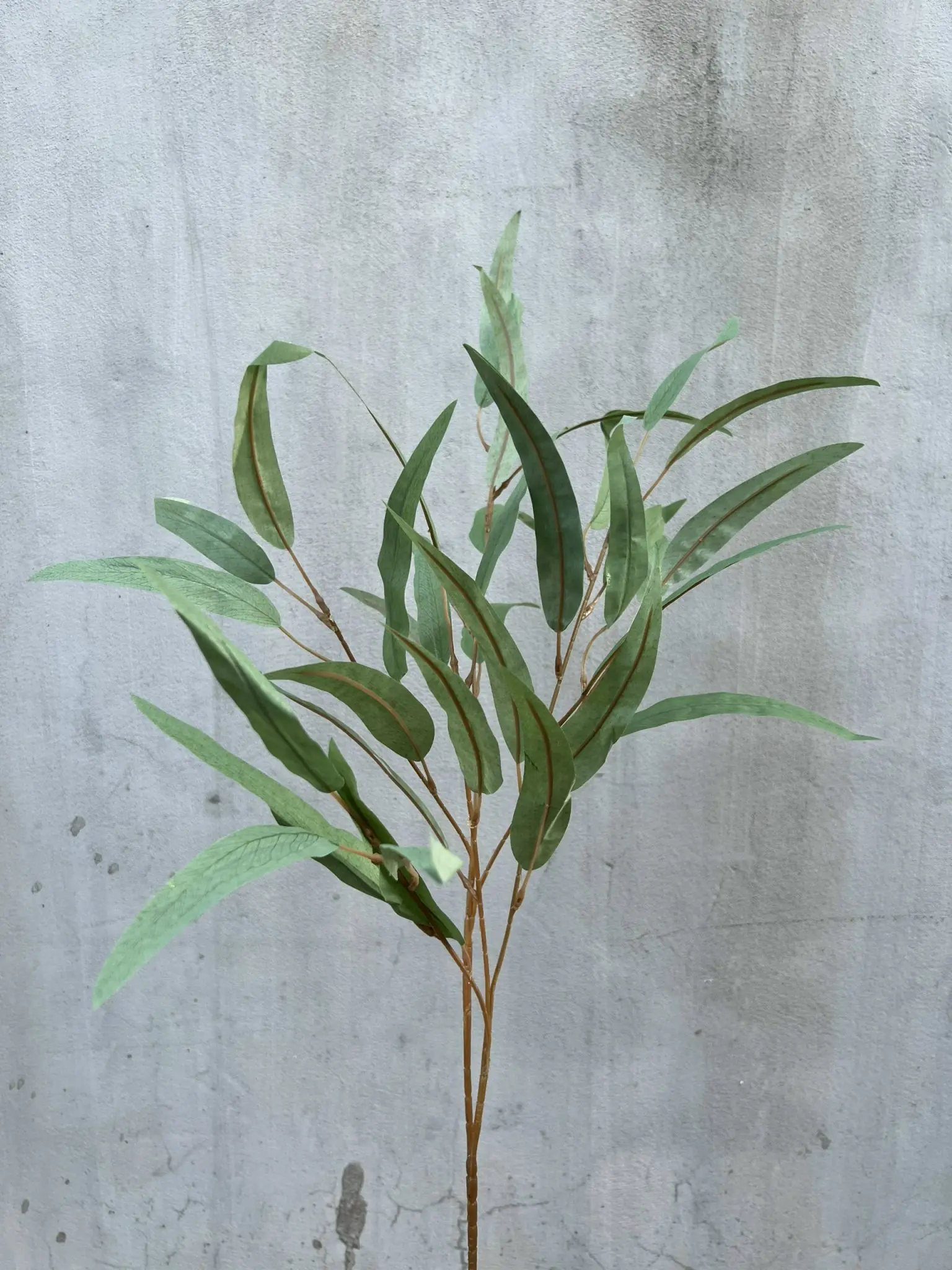 Điểm Lá Tràm - Ảnh 7