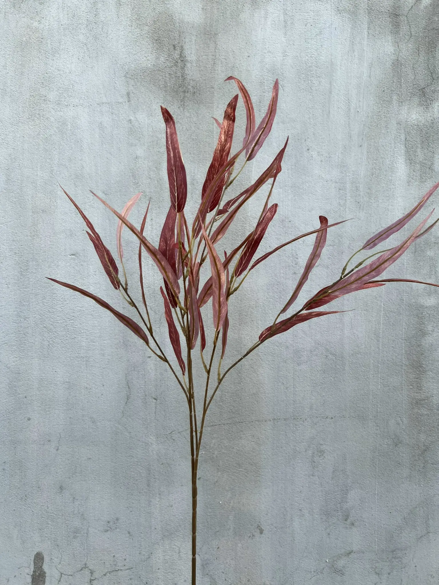 Điểm Lá Tràm - Ảnh 9