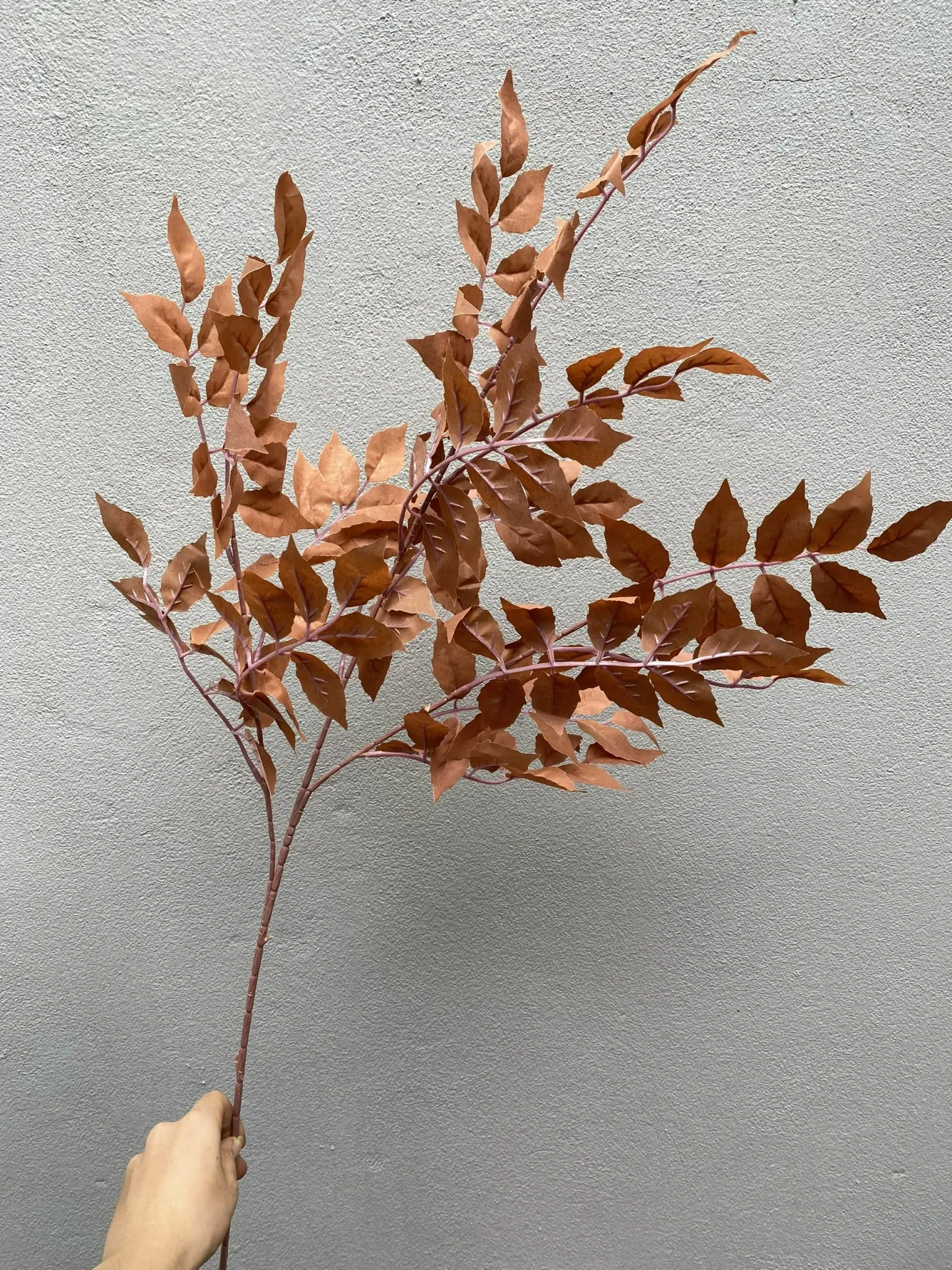 Điểm Lá Xà Cừ - Ảnh 12