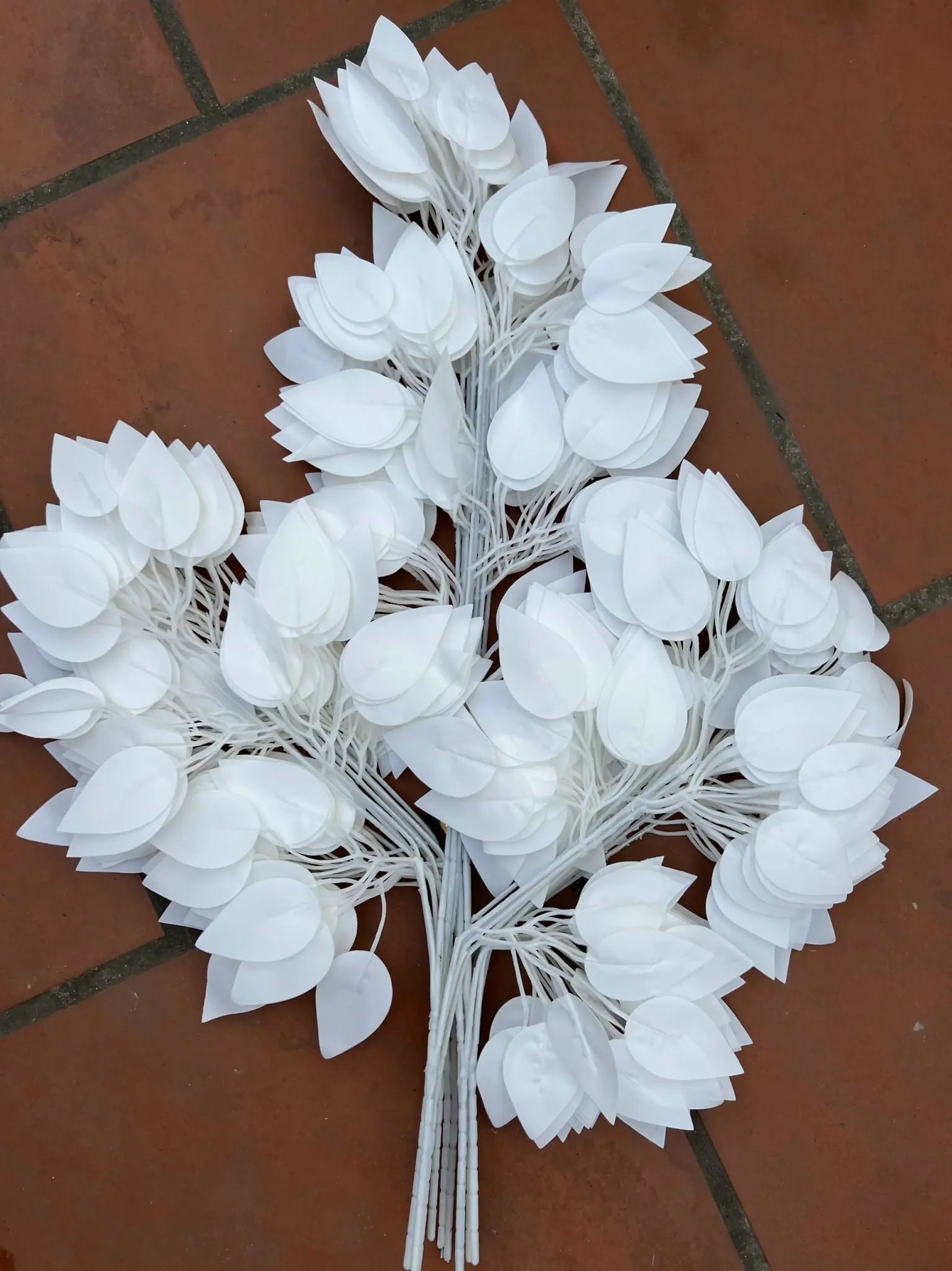 Điểm Lá Xi - Ảnh 2