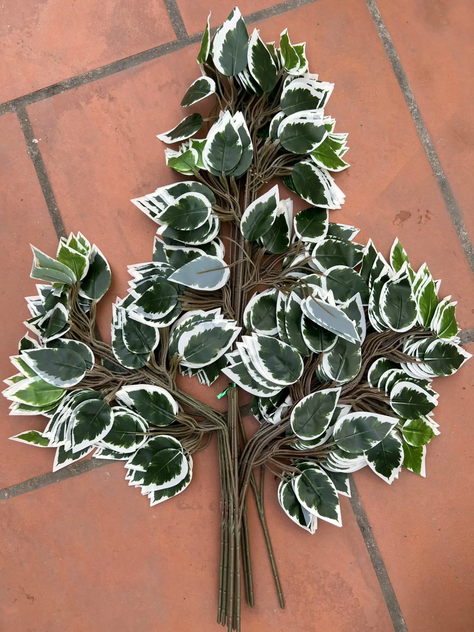 Điểm Lá Xi - Ảnh 4