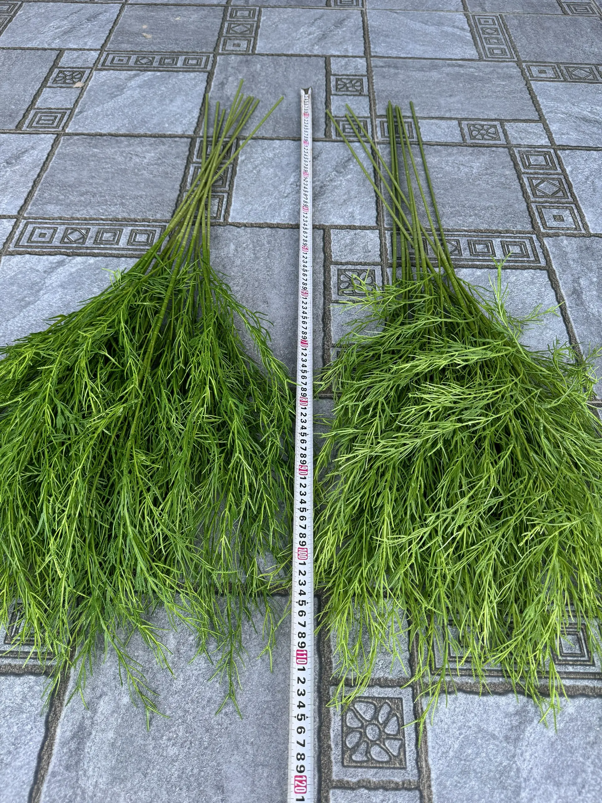 Điểm Liễu Rủ - Ảnh 6