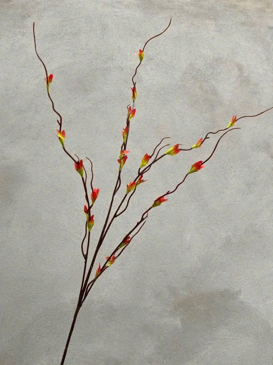 Điểm Lộc Non - Ảnh 2