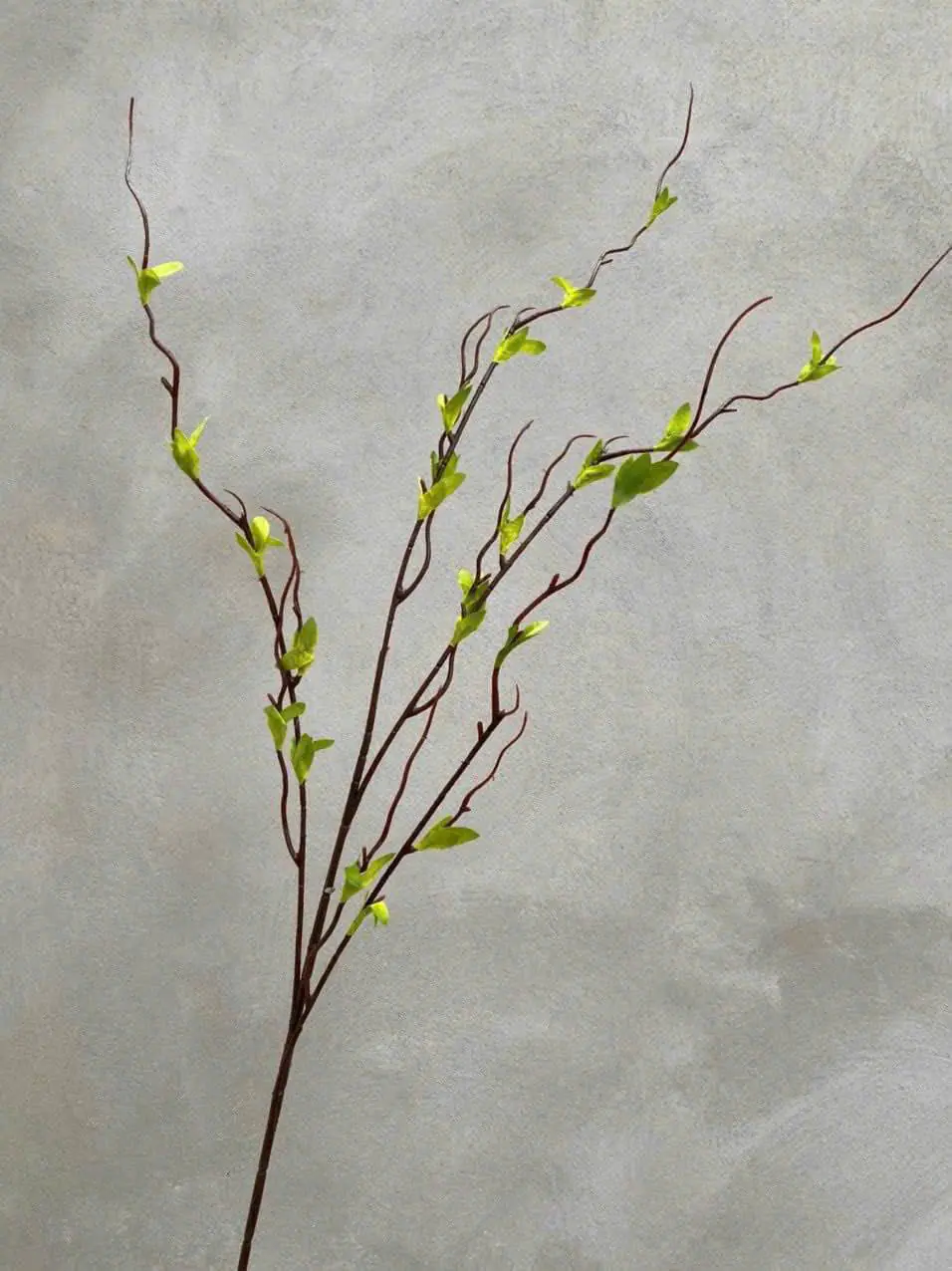 Điểm Lộc Non - Ảnh 3