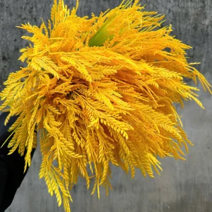 Điểm Lúa Cụm Ngắn