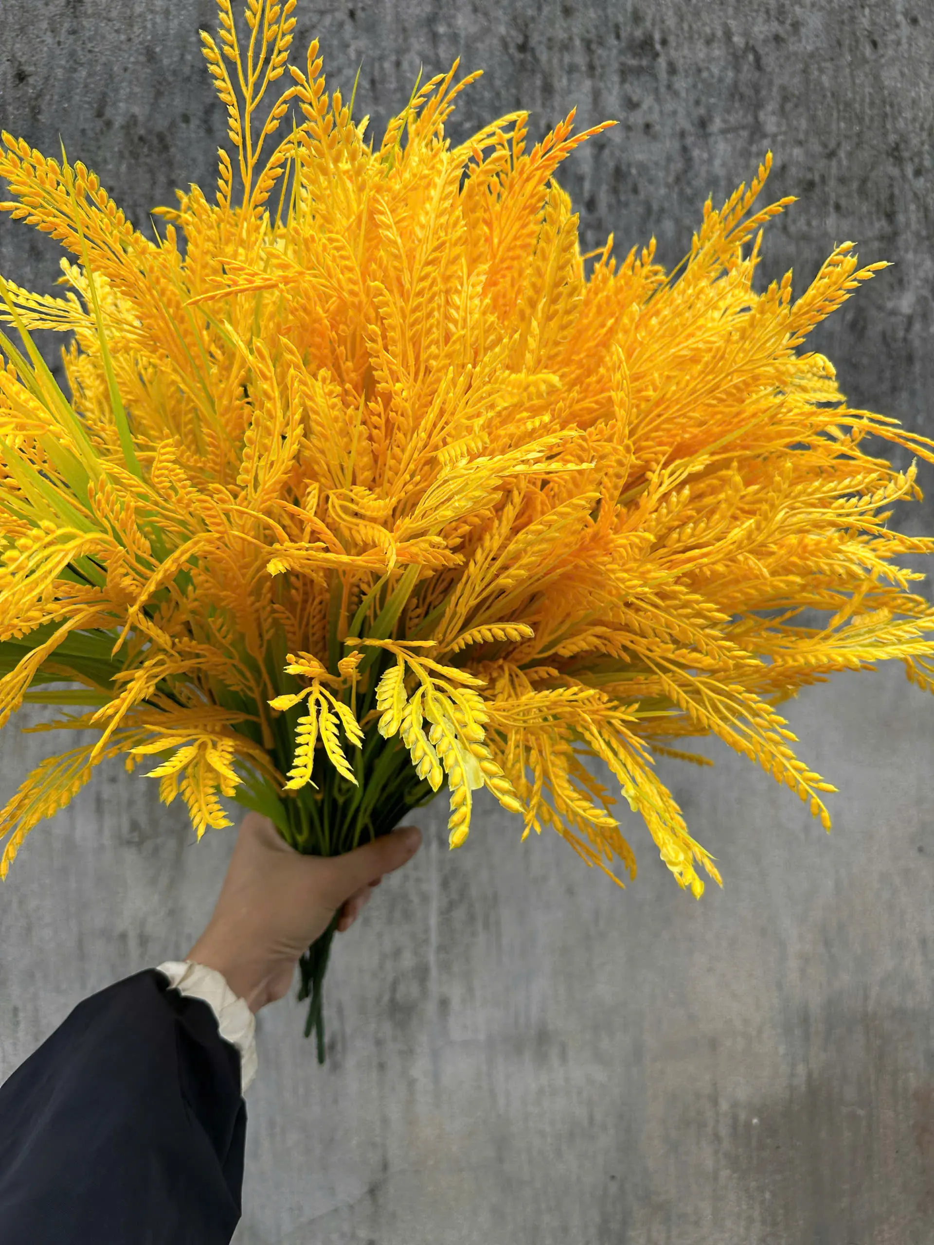 Điểm Lúa Cụm Ngắn - Ảnh 2