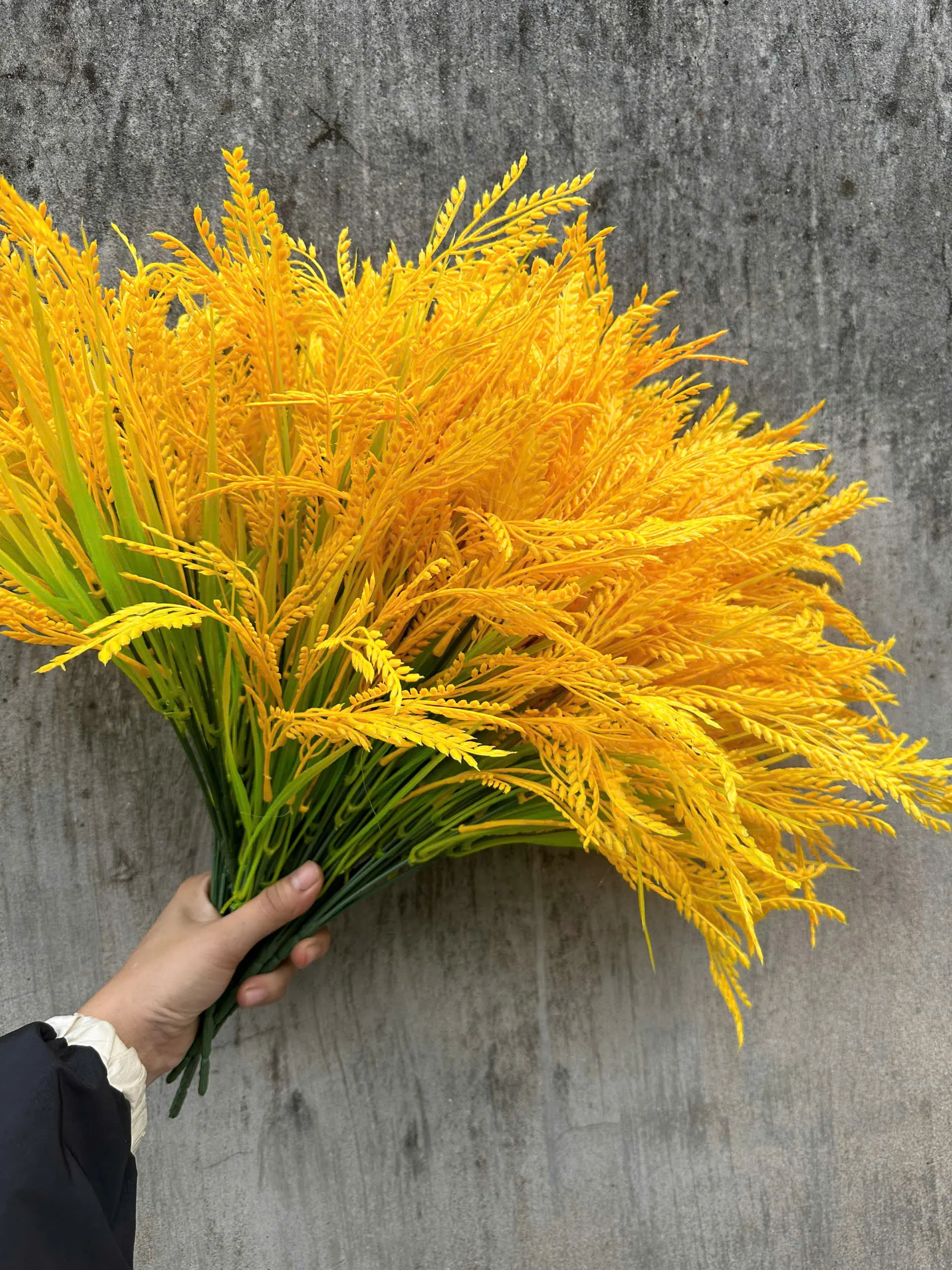 Điểm Lúa Cụm Ngắn - Ảnh 3