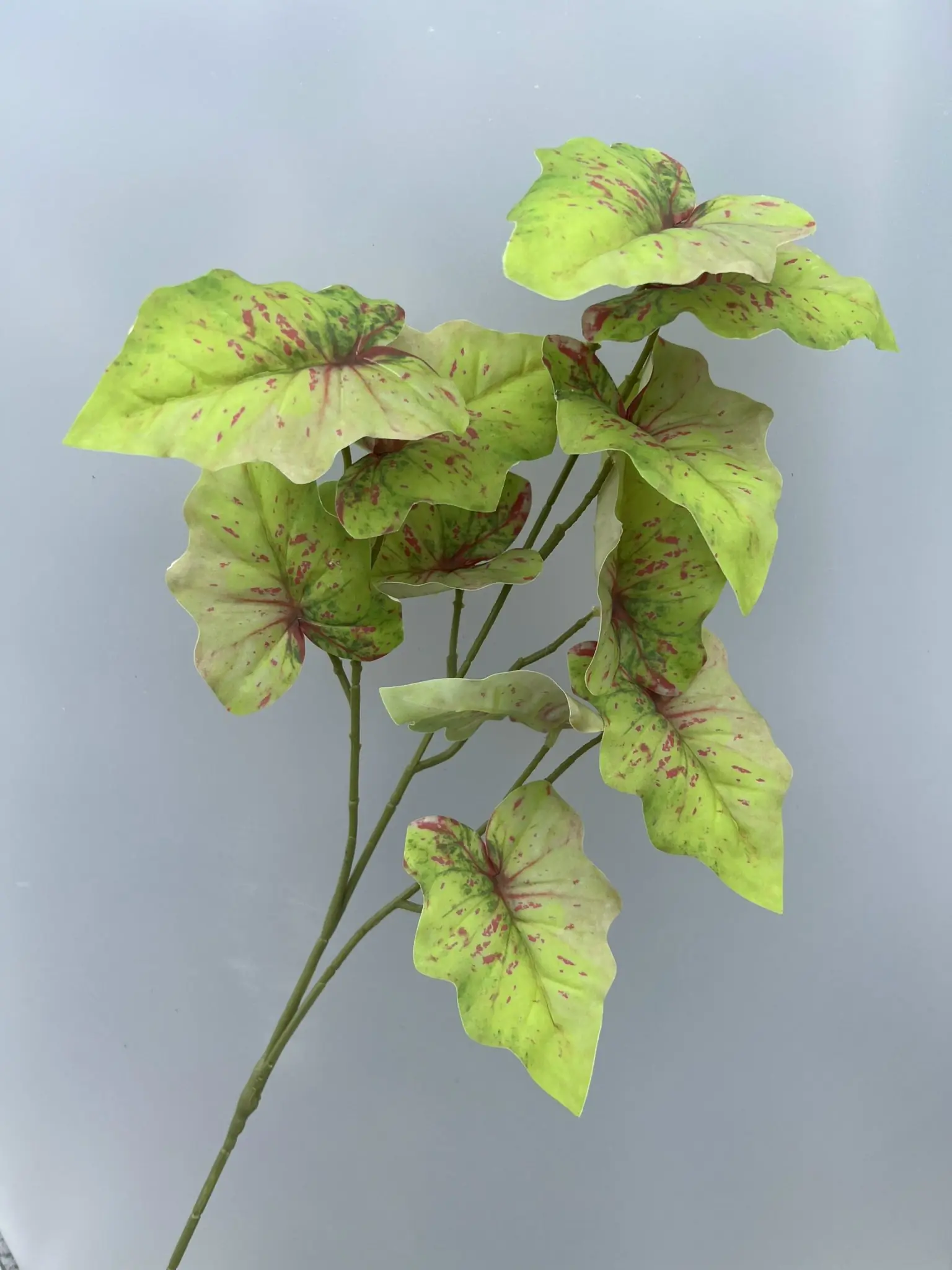 Điểm Môn 3D - Ảnh 3