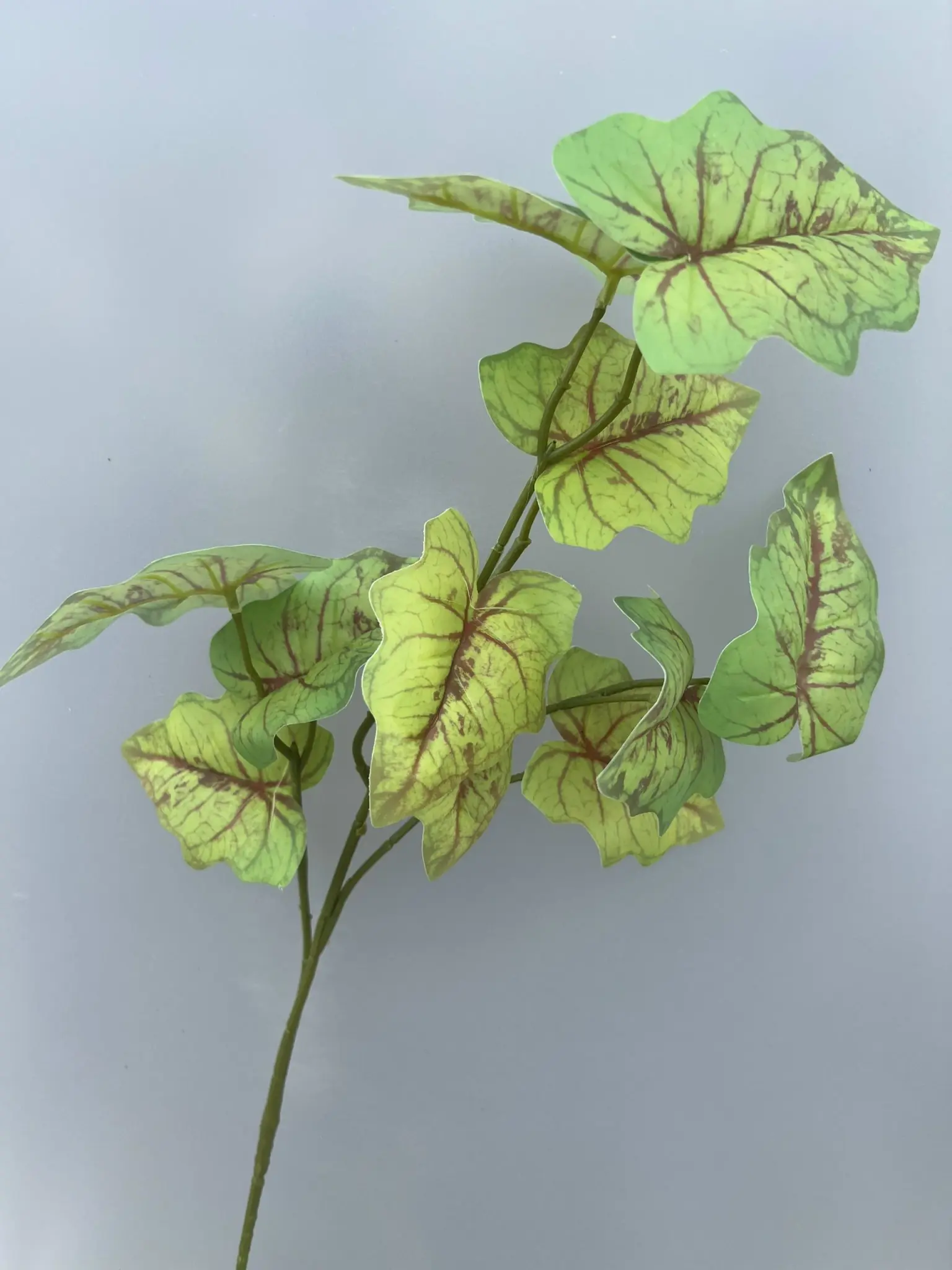 Điểm Môn 3D - Ảnh 4