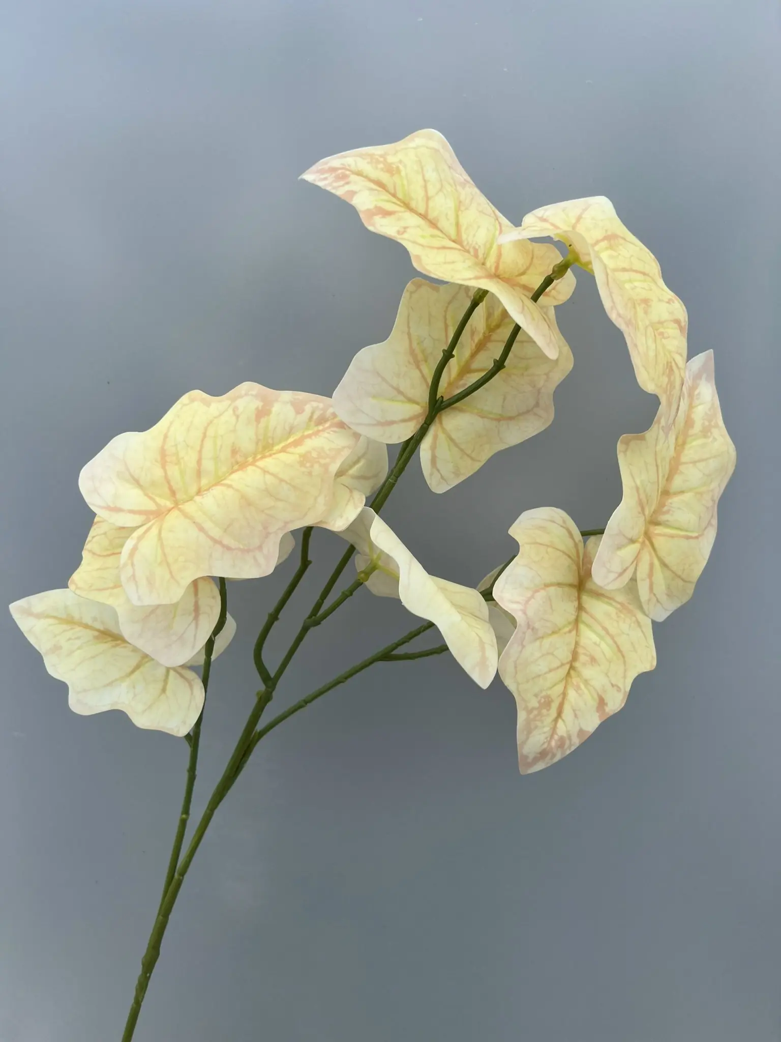 Điểm Môn 3D - Ảnh 5