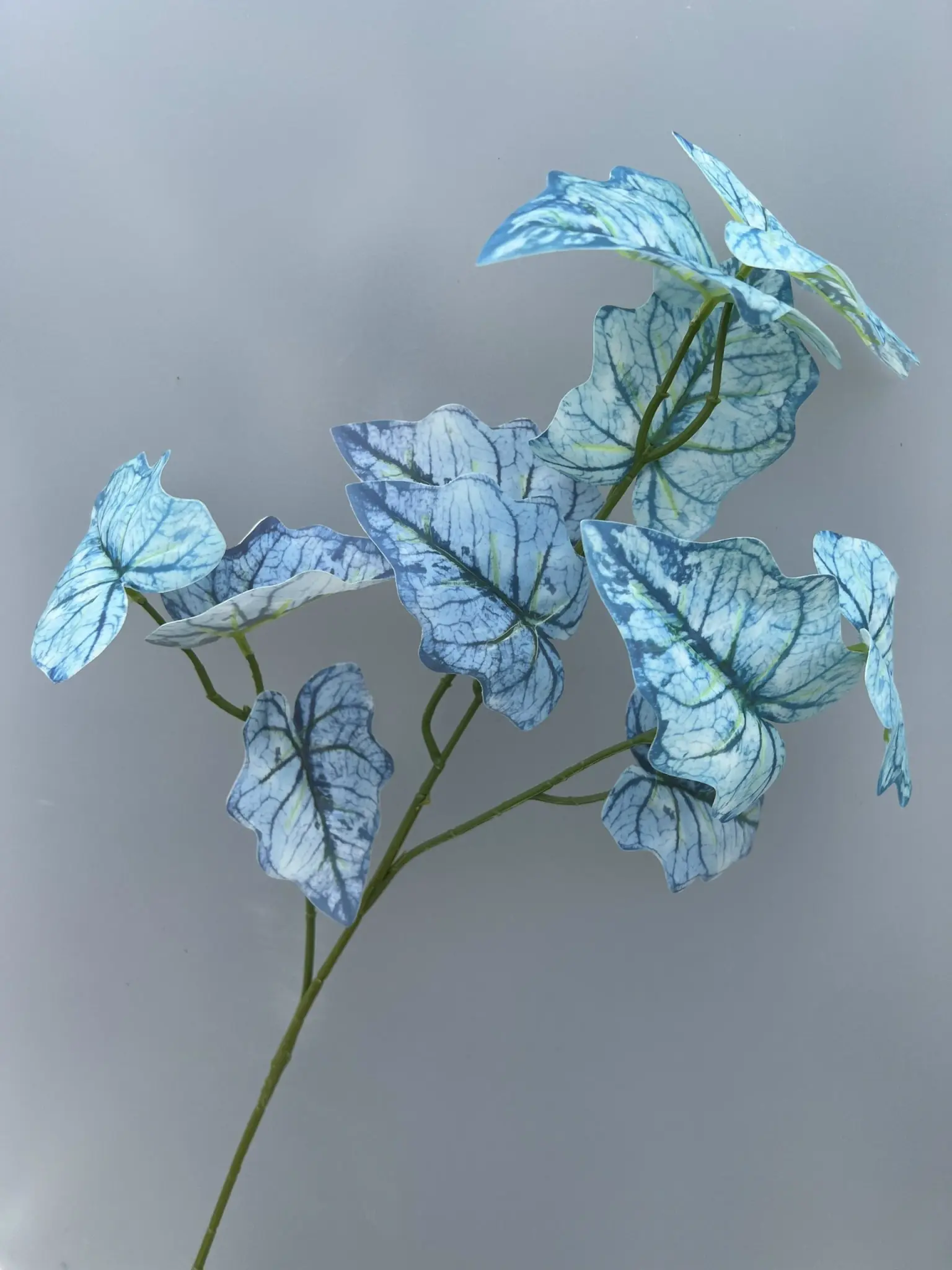 Điểm Môn 3D - Ảnh 6