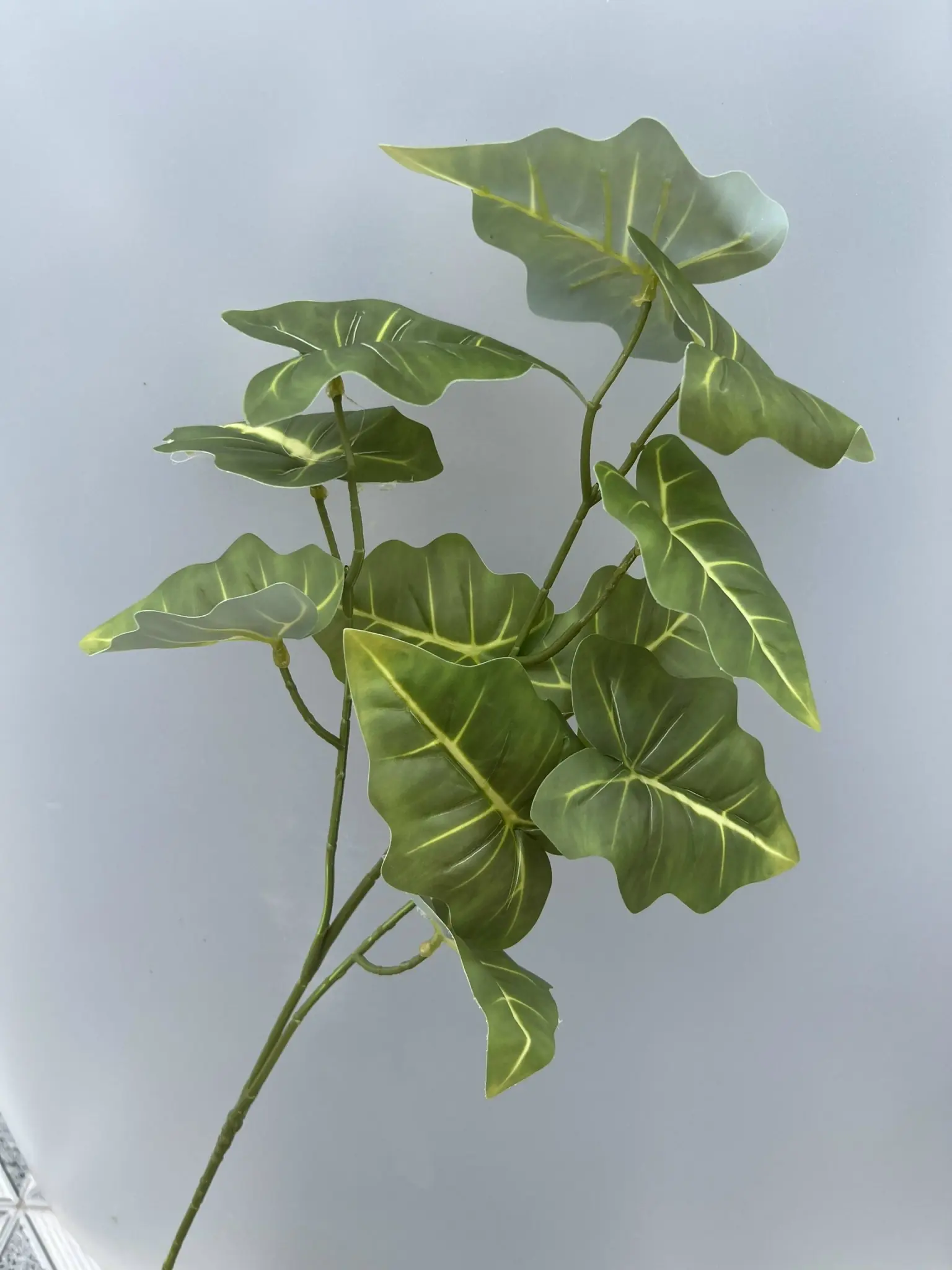 Điểm Môn 3D - Ảnh 7