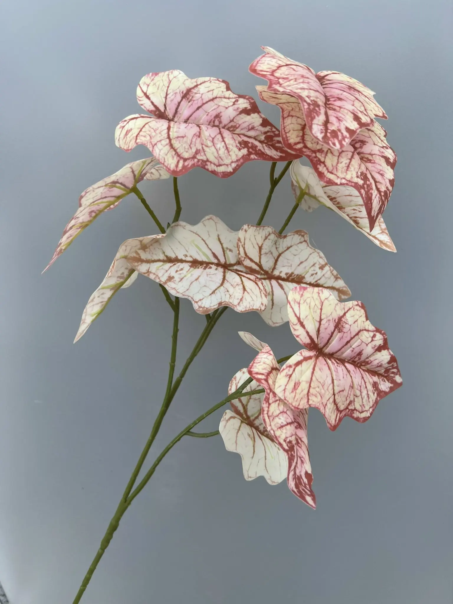 Điểm Môn 3D - Ảnh 8