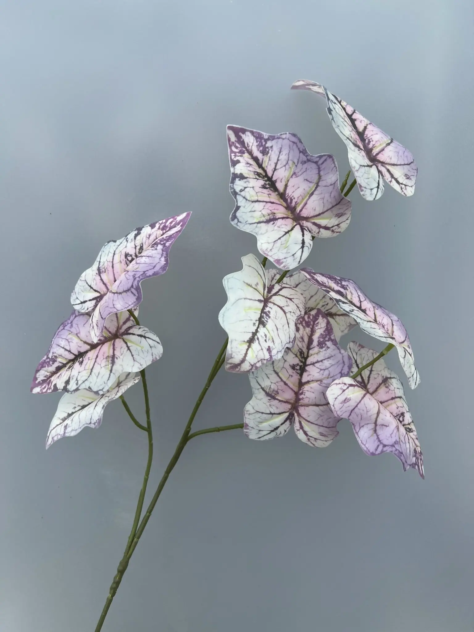 Điểm Môn 3D - Ảnh 9