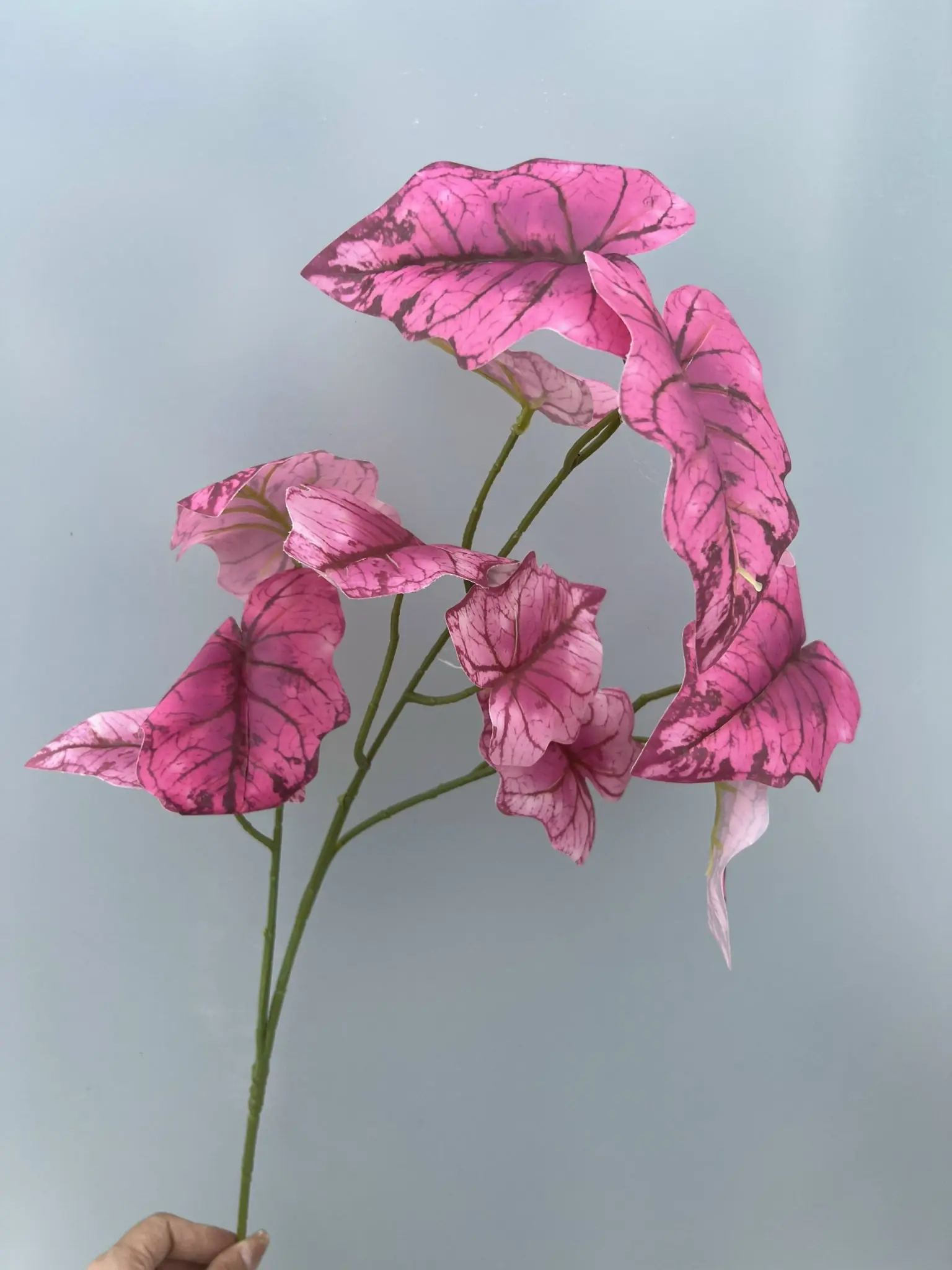 Điểm Môn 3D - Ảnh 10