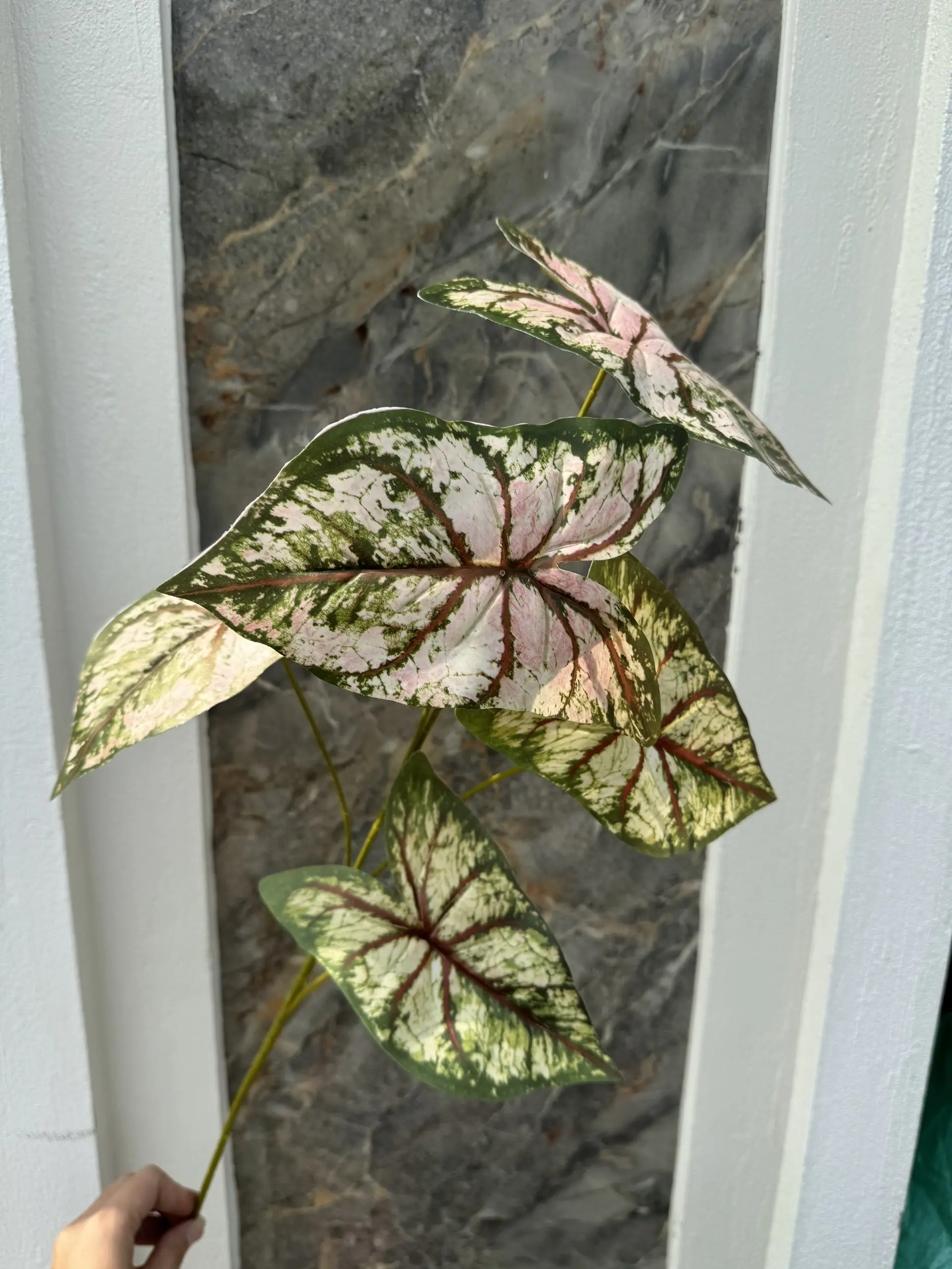 Điểm Môn Lá - Ảnh 2