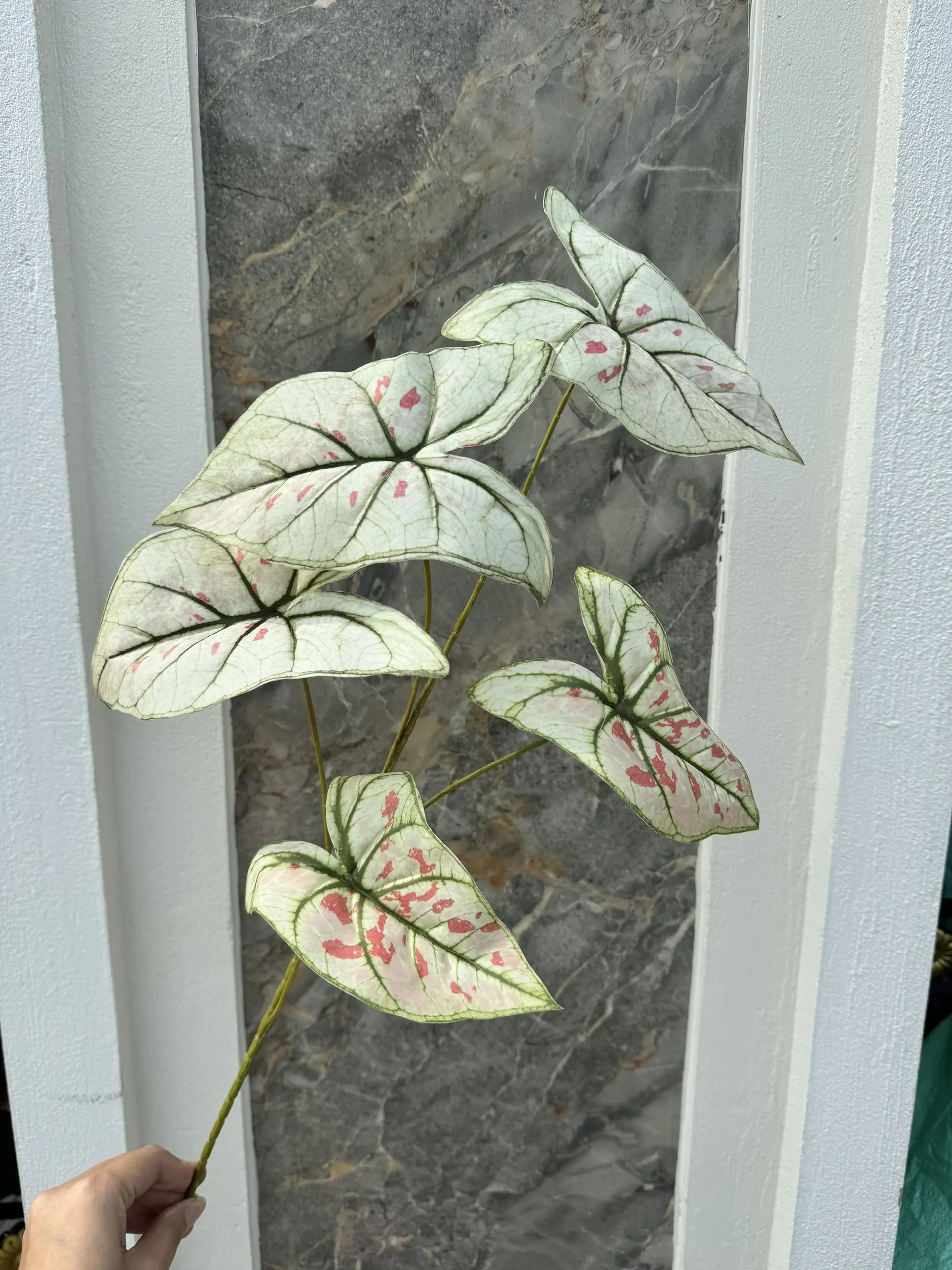 Điểm Môn Lá - Ảnh 3