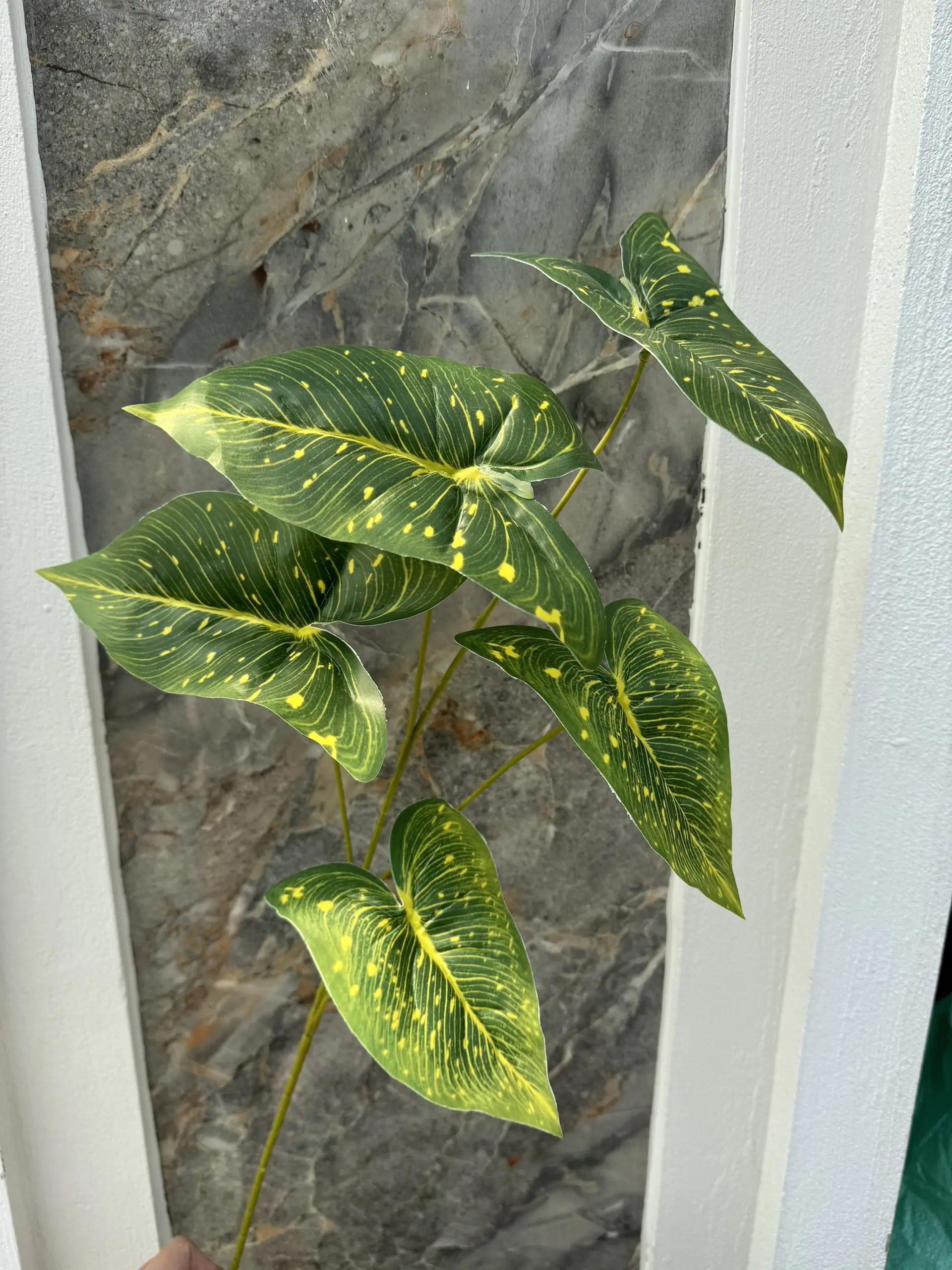 Điểm Môn Lá - Ảnh 4