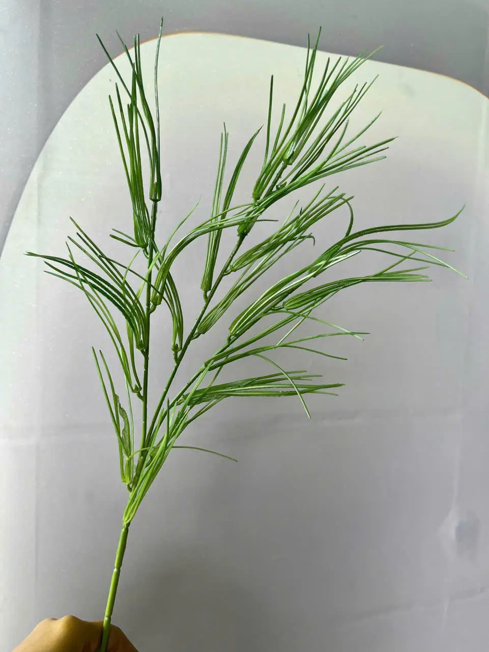 Điểm Ngọn Tre 3 Nhánh - Ảnh 3