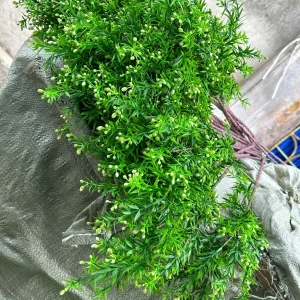 Điểm Nguyệt Quế Nụ