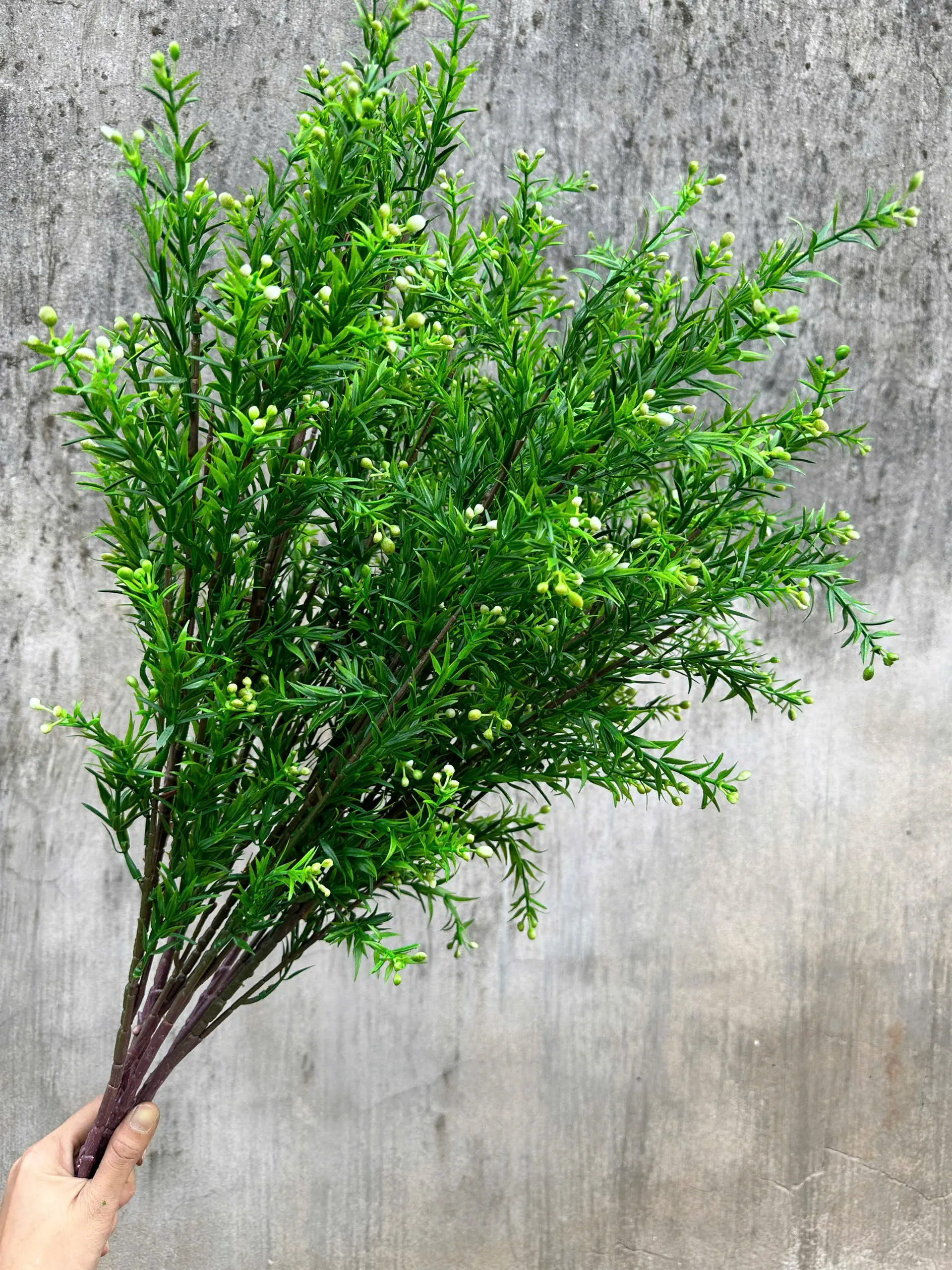 Điểm Nguyệt Quế Nụ - Ảnh 4