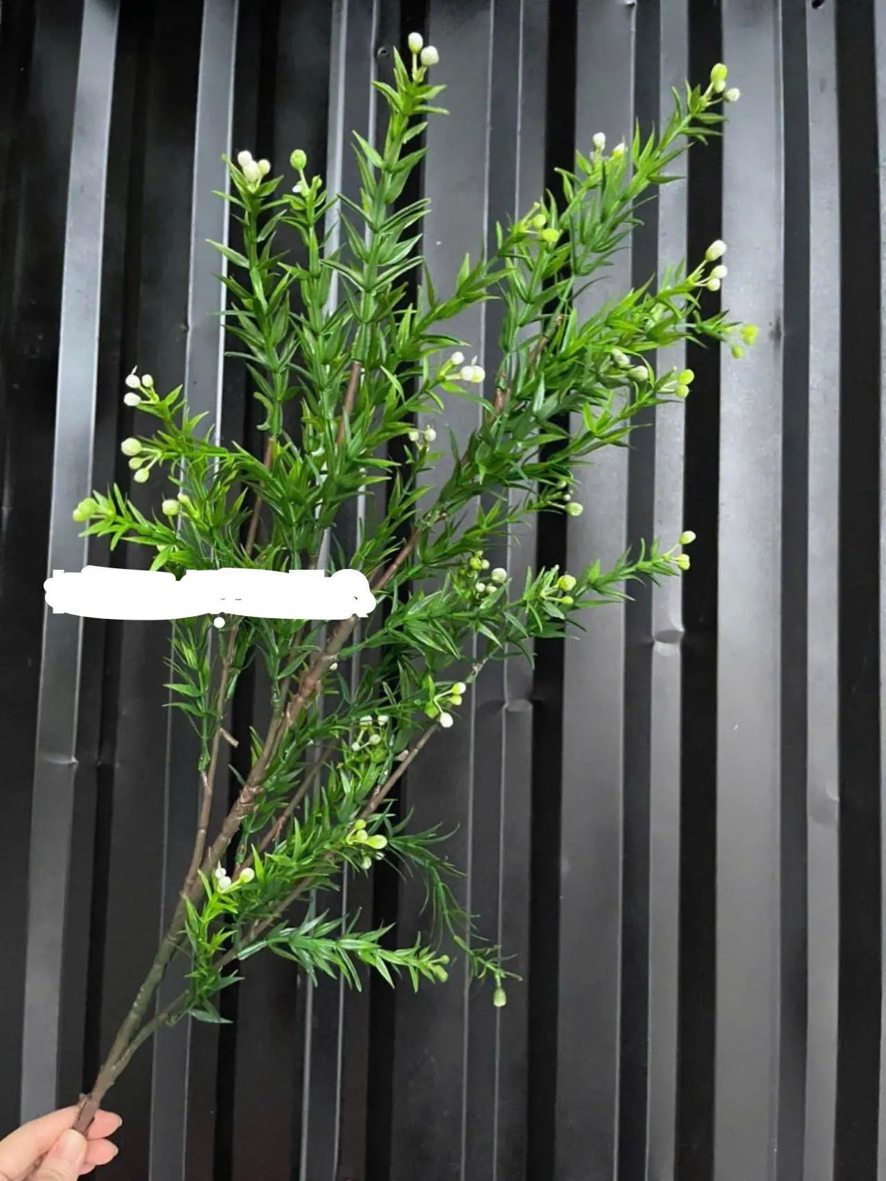 Điểm Nguyệt Quế Nụ - Ảnh 5