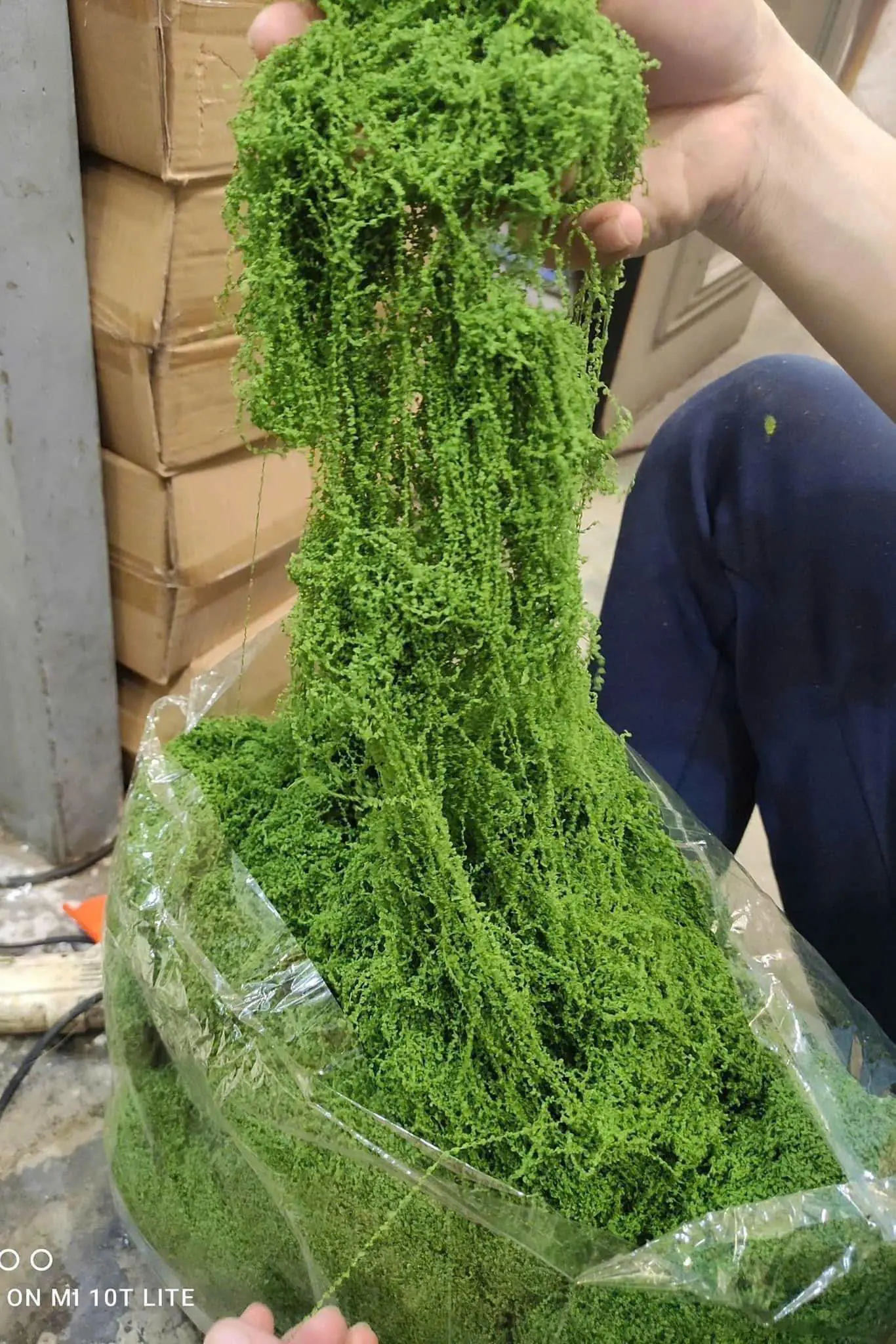 Điểm Rêu Sợi Kg - Ảnh 3