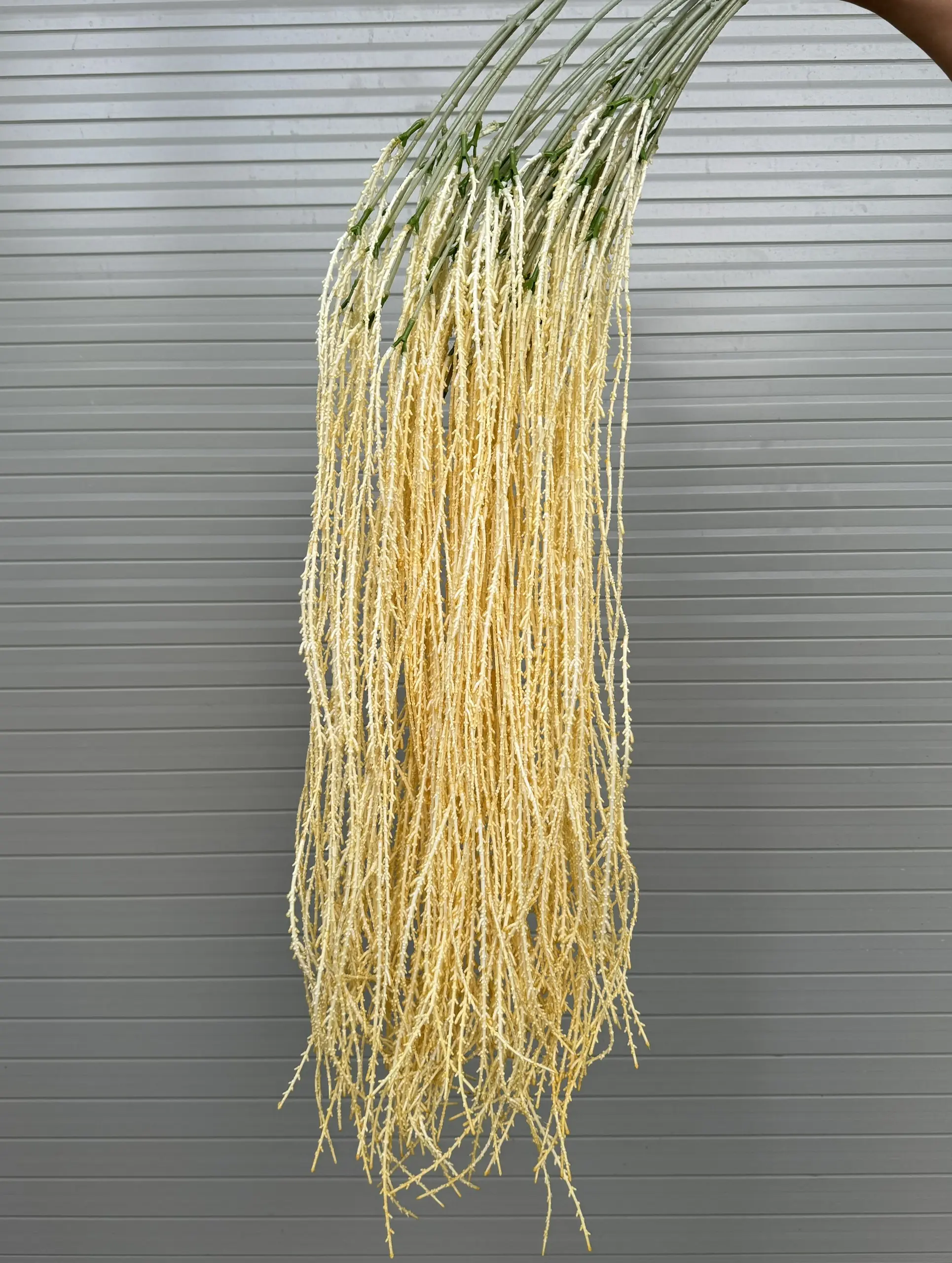 Điểm Rủ Cau - Ảnh 2