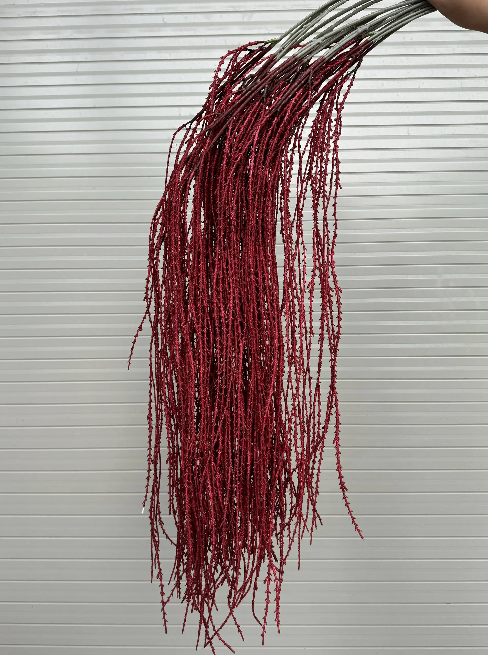 Điểm Rủ Cau - Ảnh 3