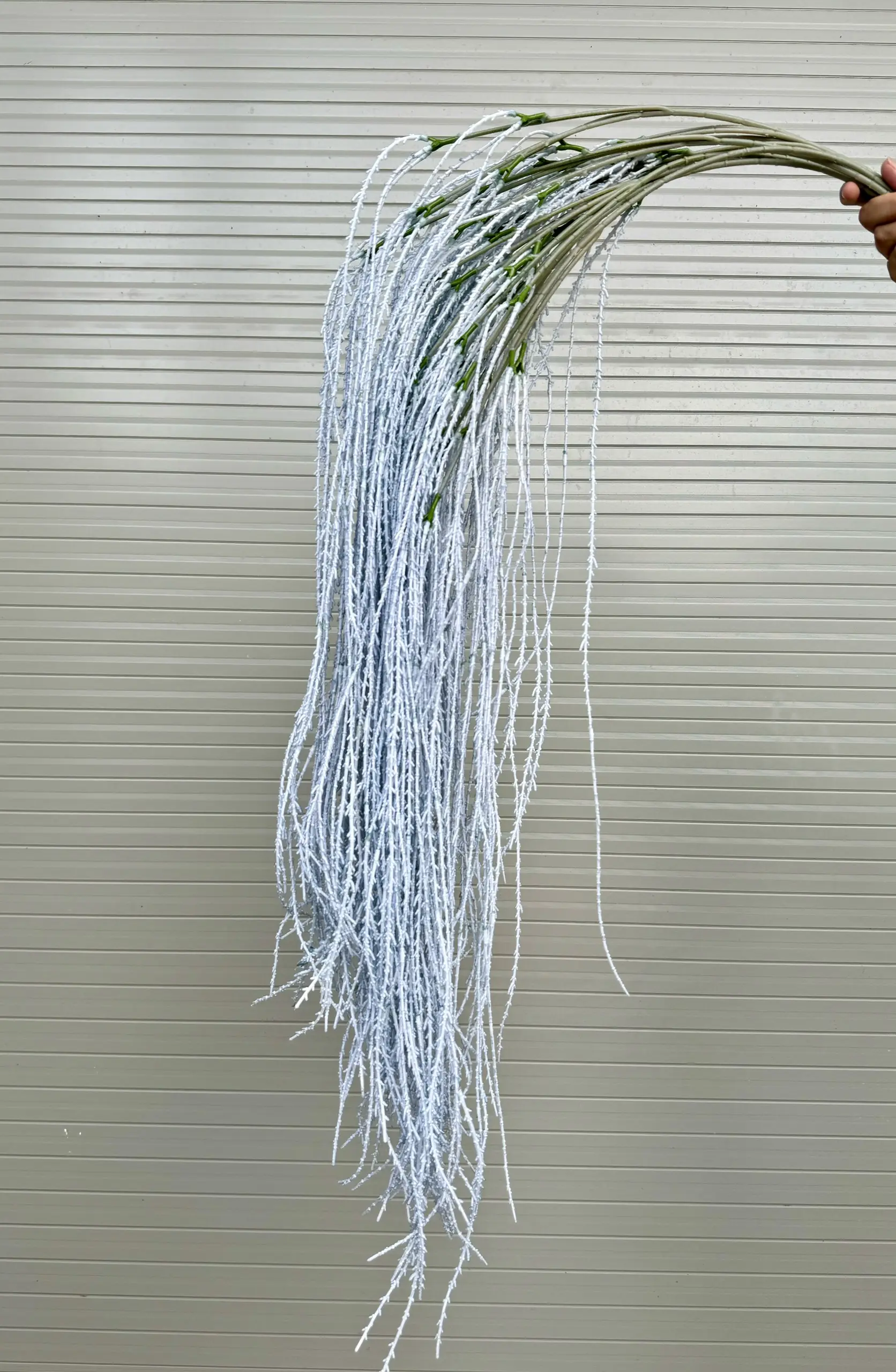 Điểm Rủ Cau - Ảnh 4