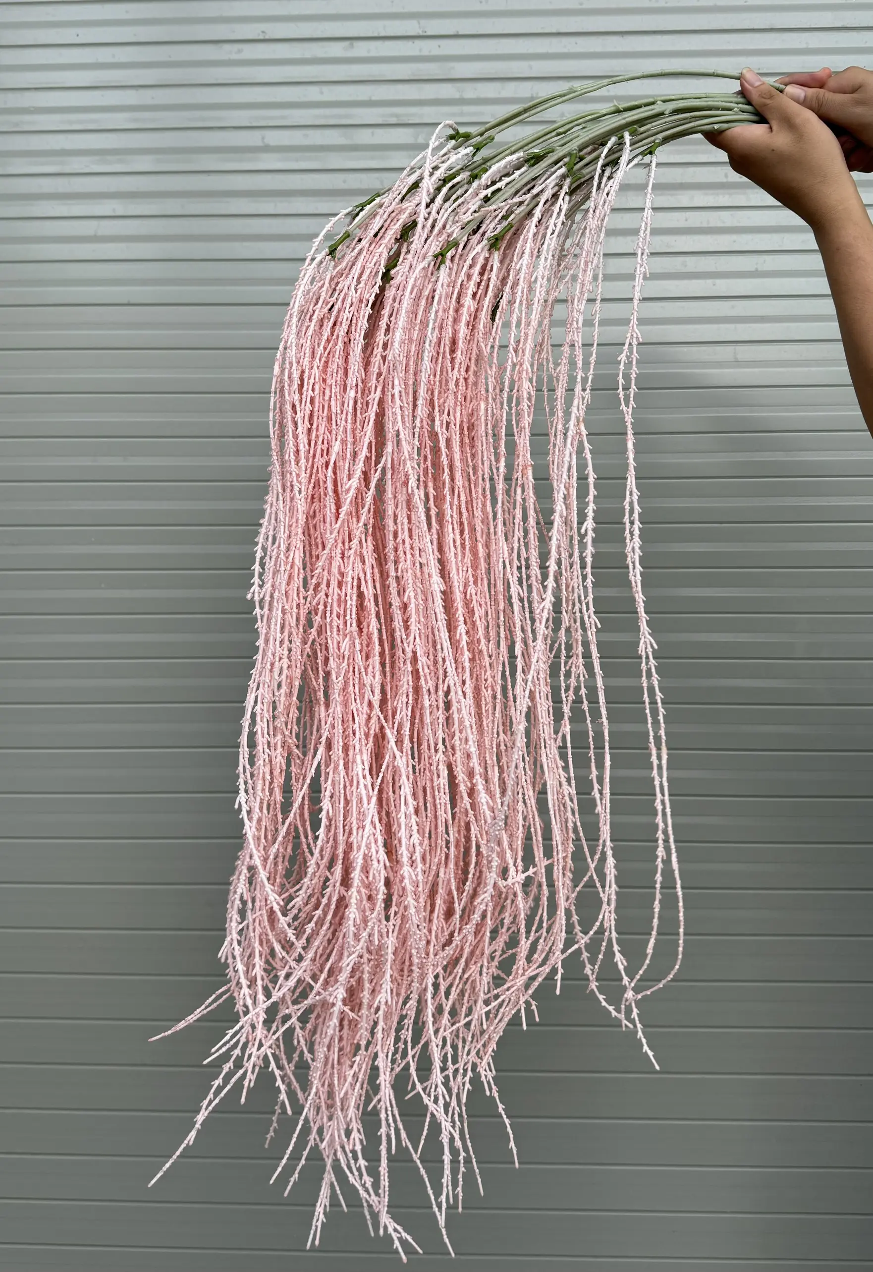 Điểm Rủ Cau - Ảnh 8