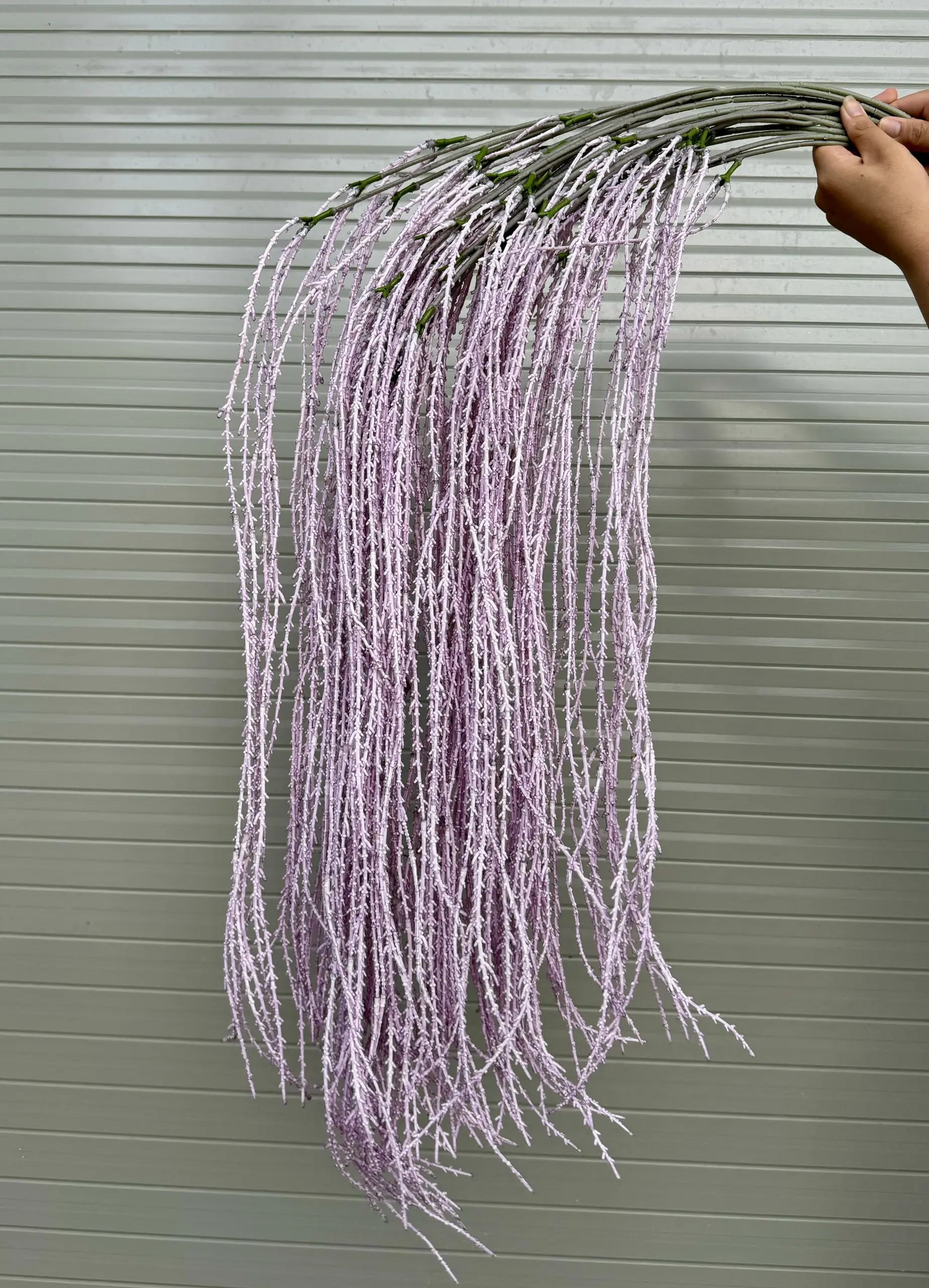 Điểm Rủ Cau - Ảnh 10